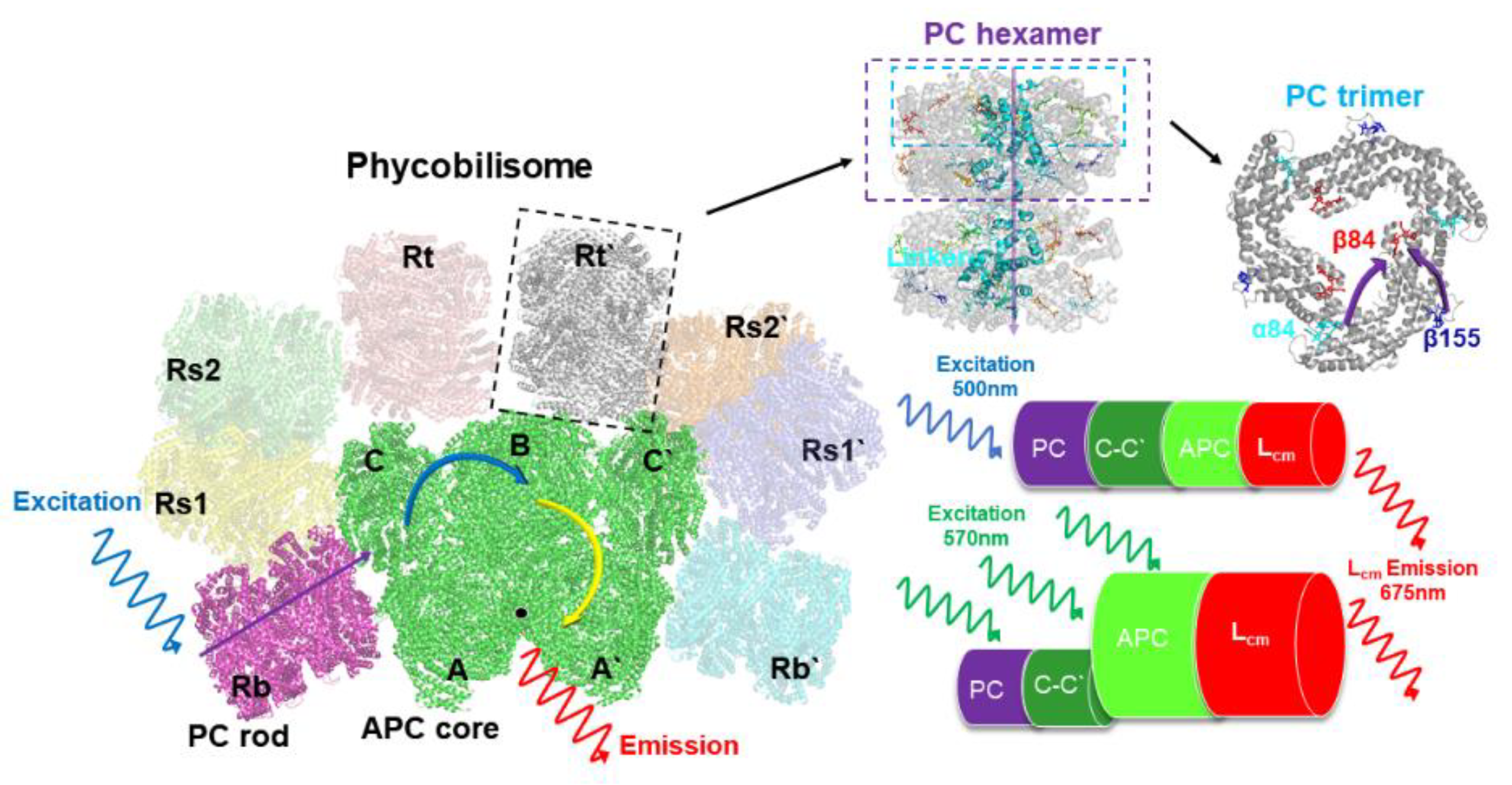 Preprints 71829 g001