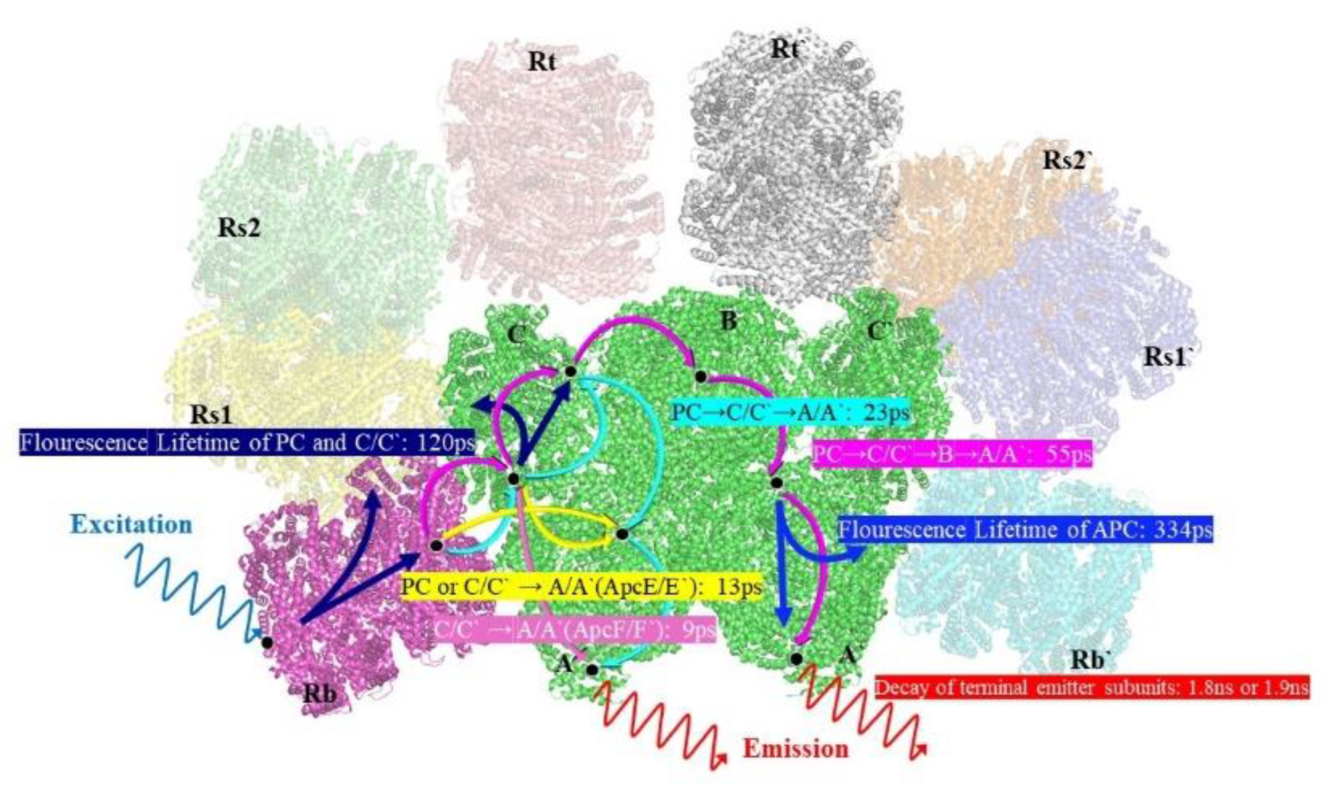 Preprints 71829 g005