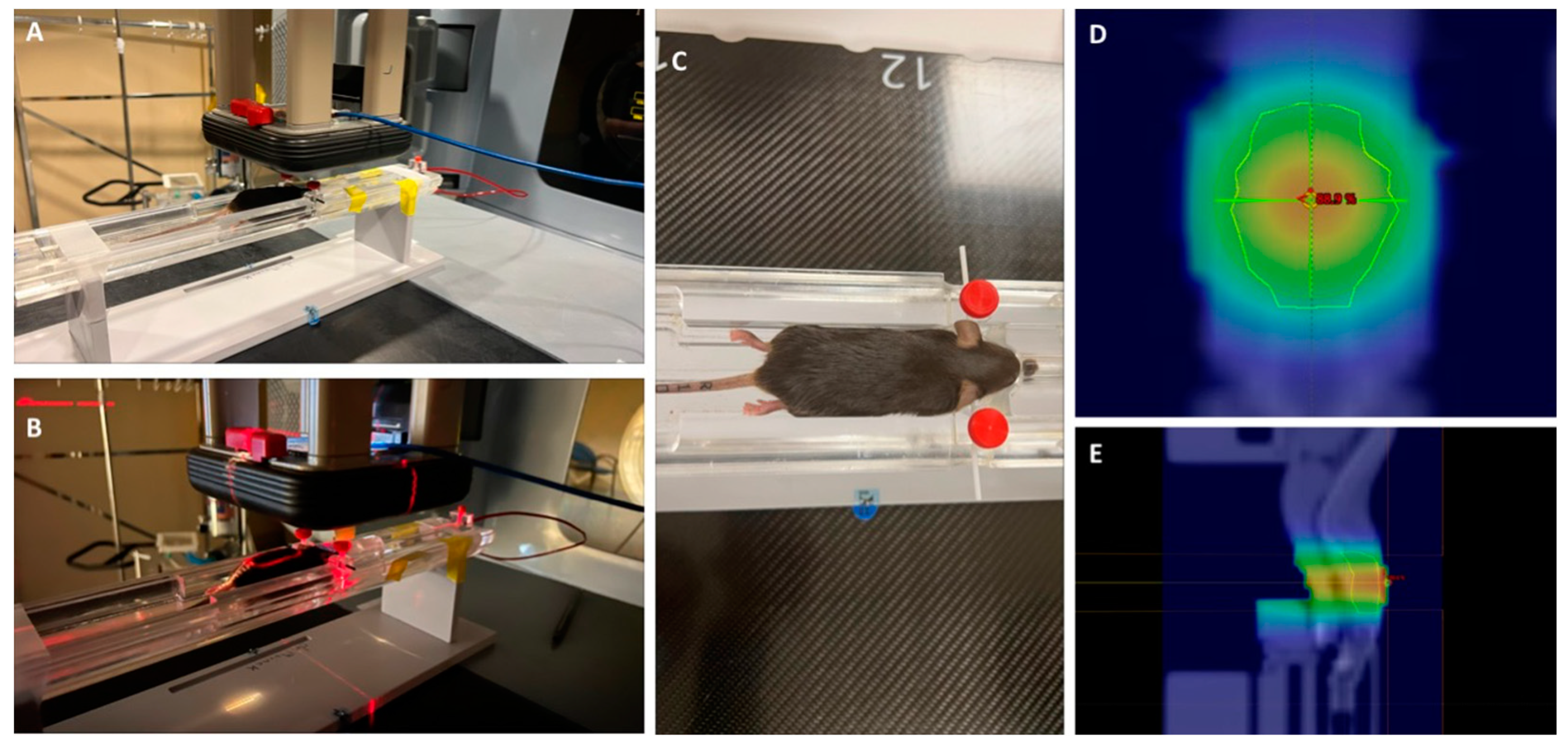 Preprints 73125 g001