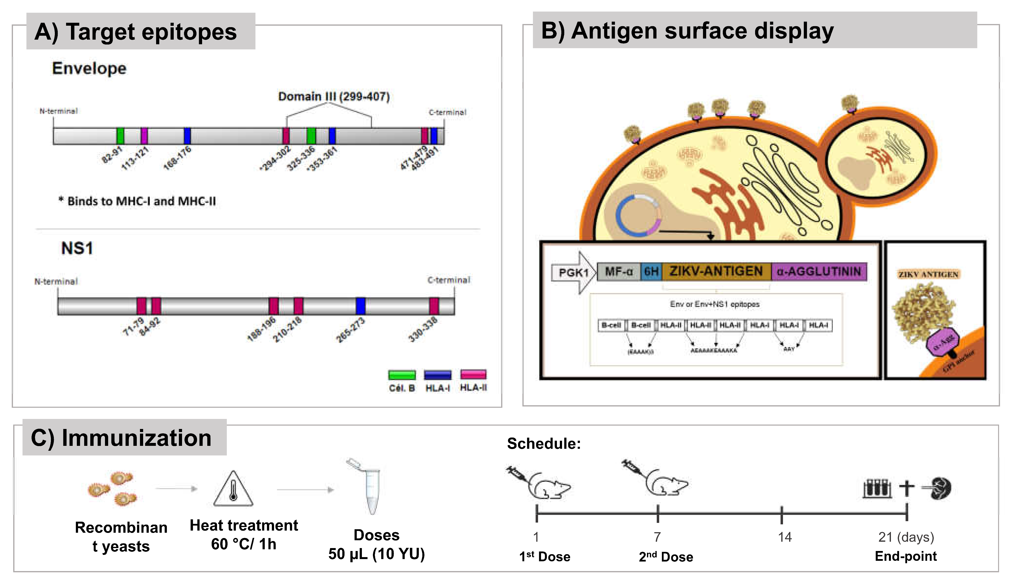 Preprints 73740 g001