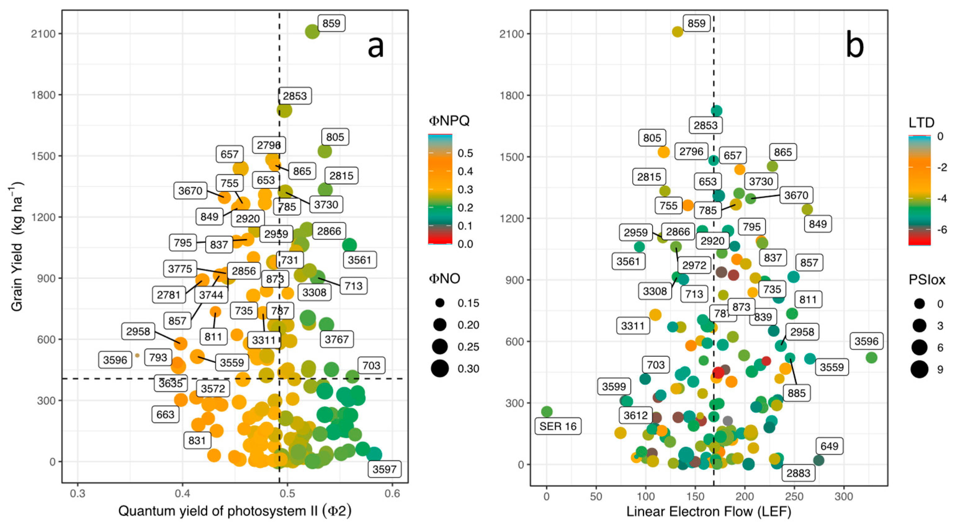 Preprints 92525 g003