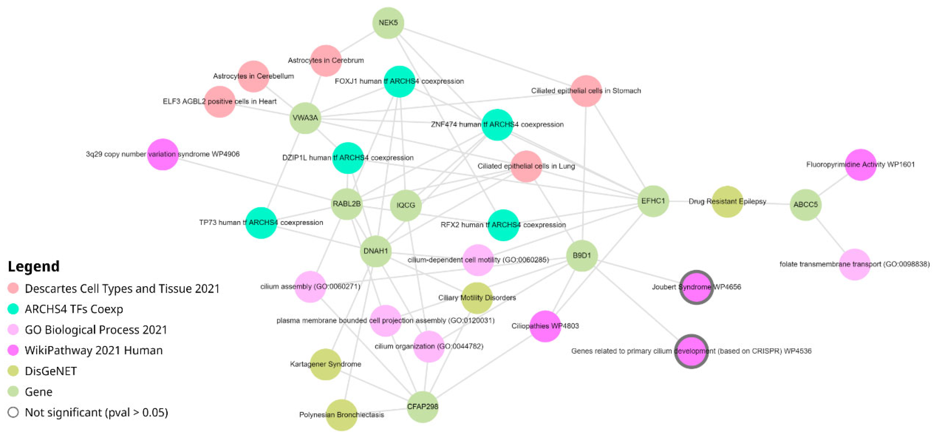 Preprints 104375 g004