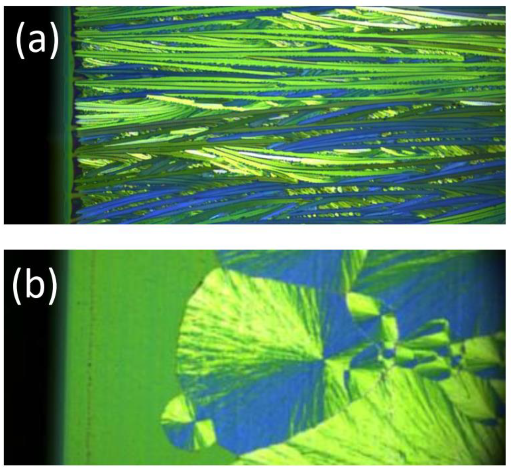 Preprints 76422 g003