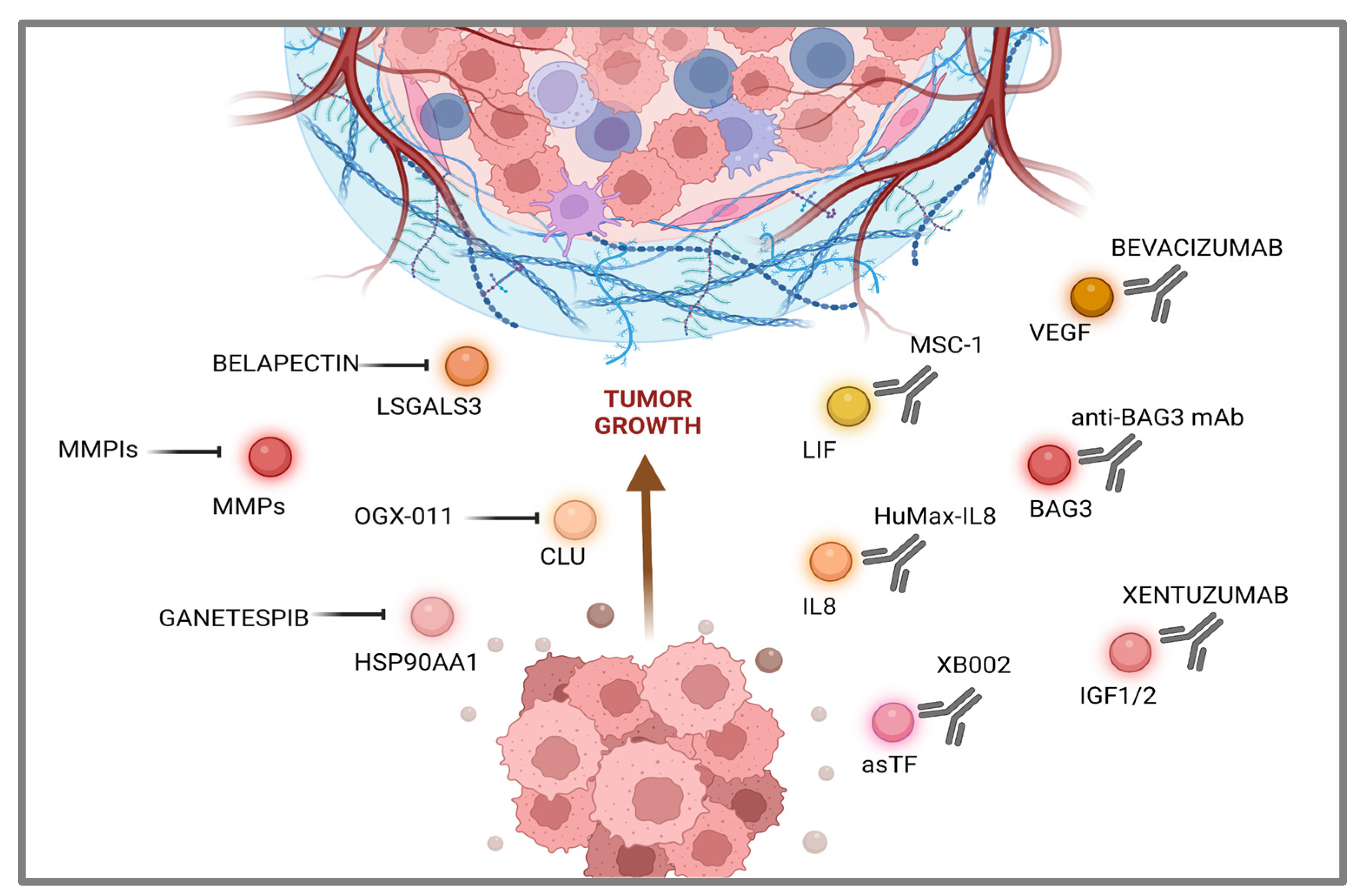 Preprints 81759 g002