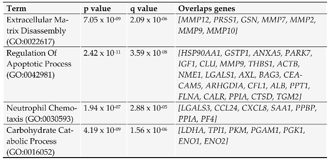 Preprints 81759 t002