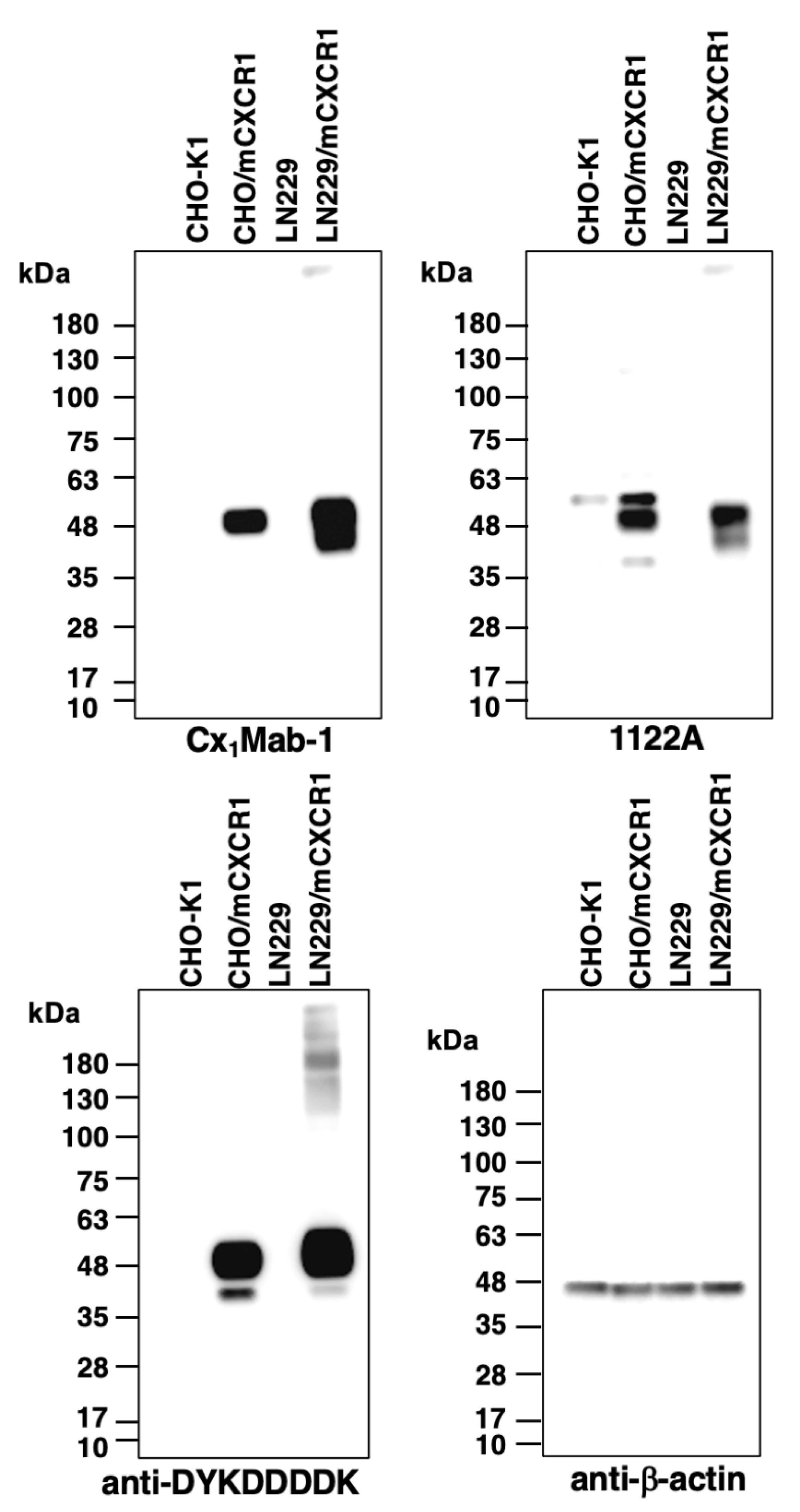 Preprints 94170 g005