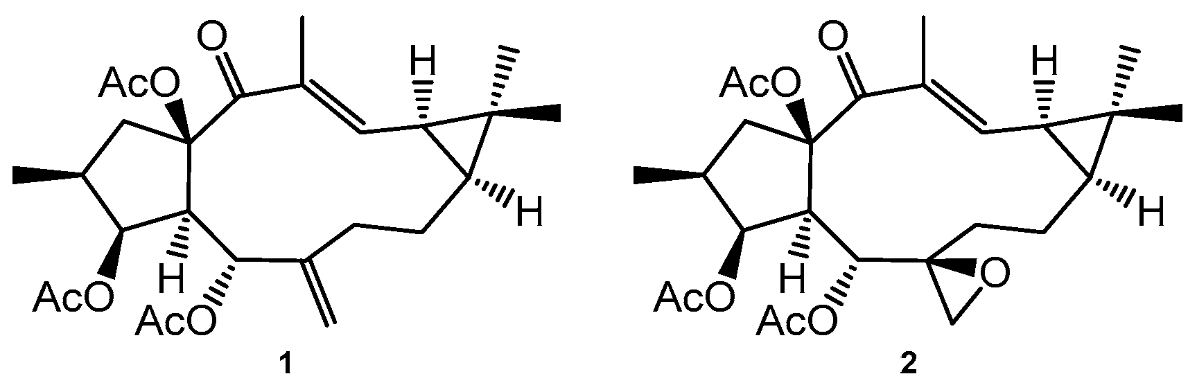 Preprints 97307 g001