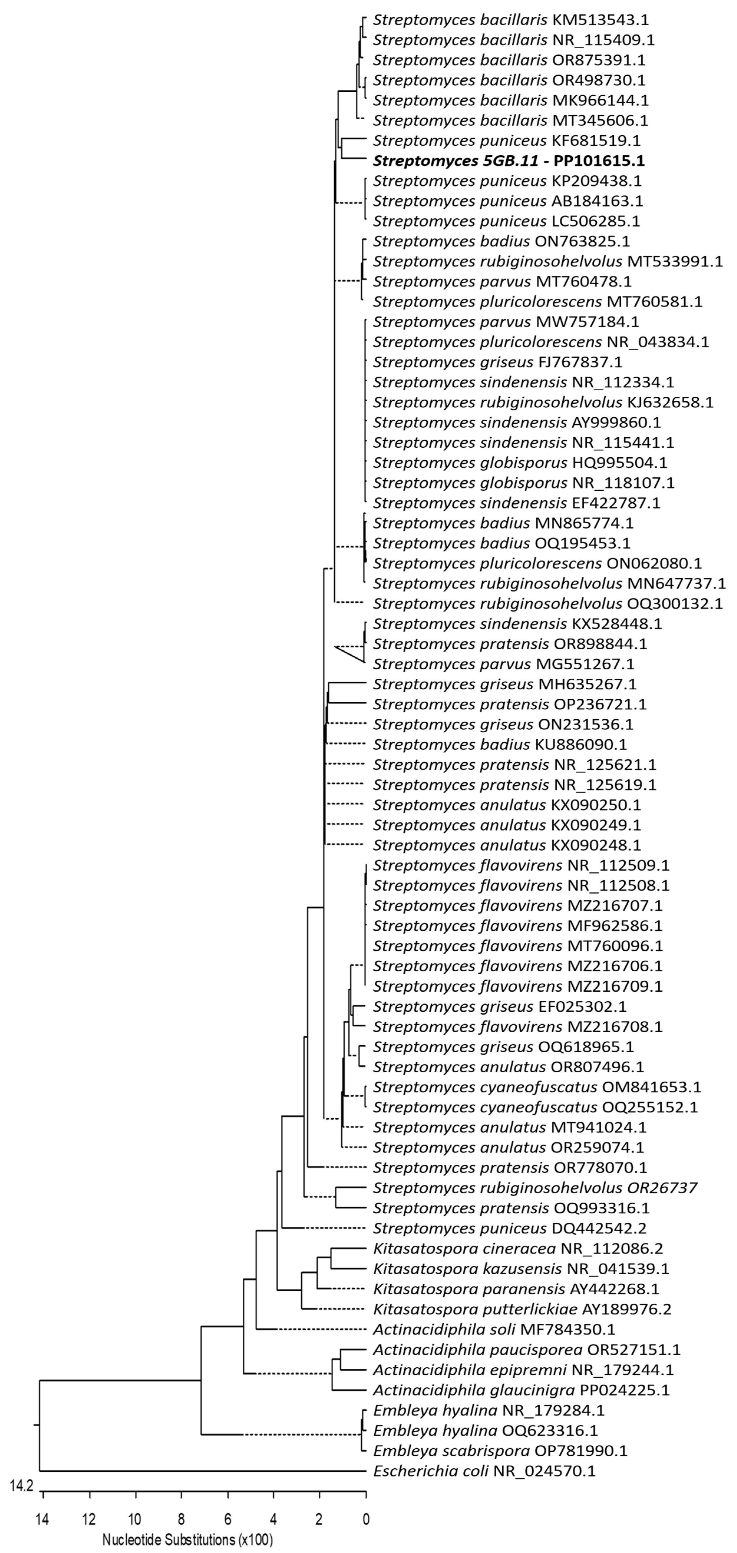 Preprints 97307 g002