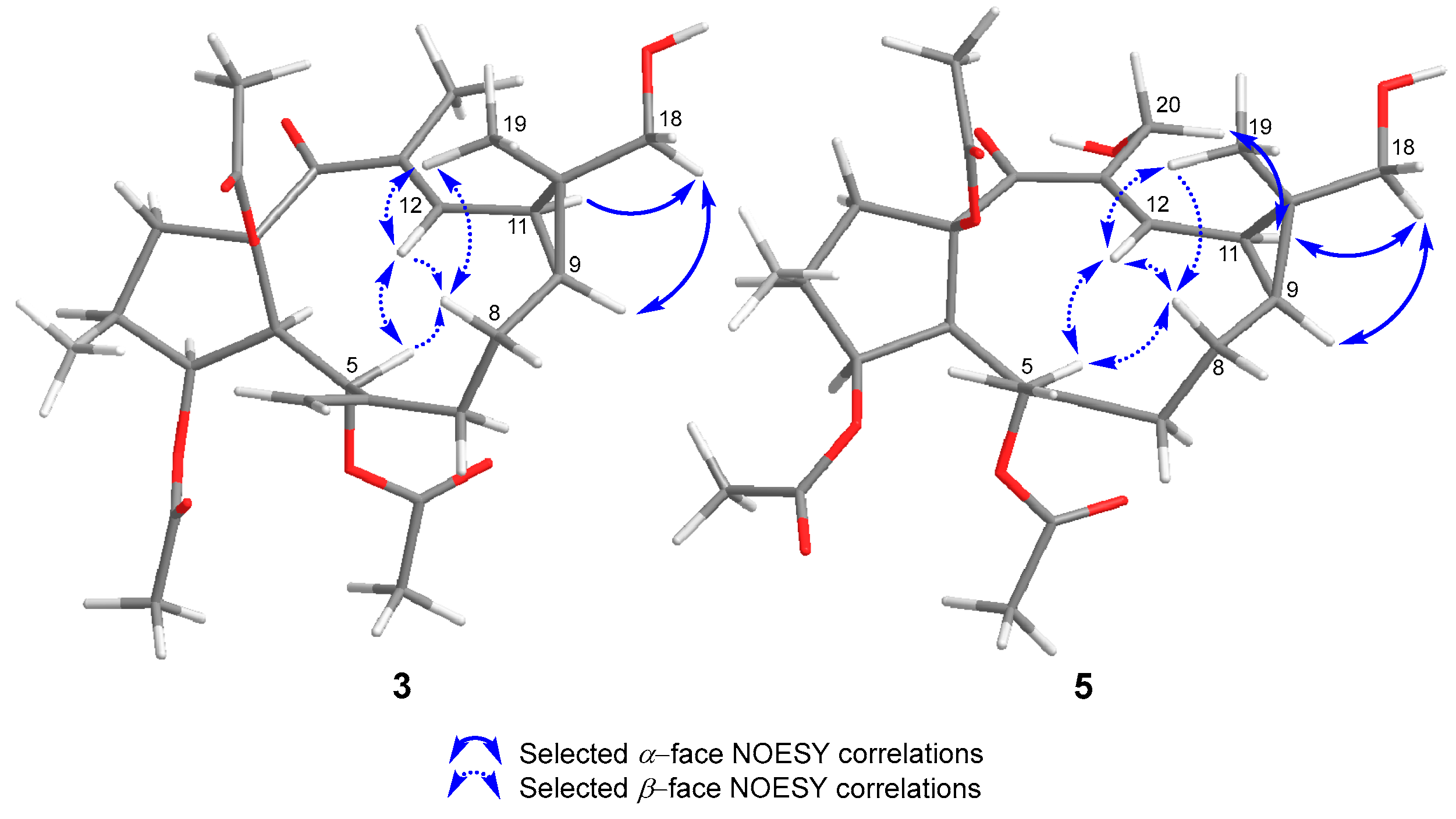 Preprints 97307 g004