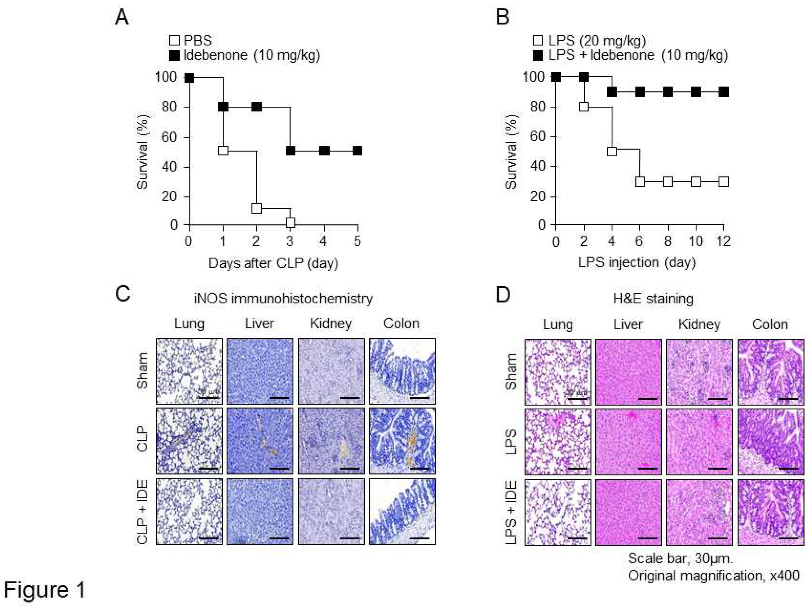 Preprints 94923 g001