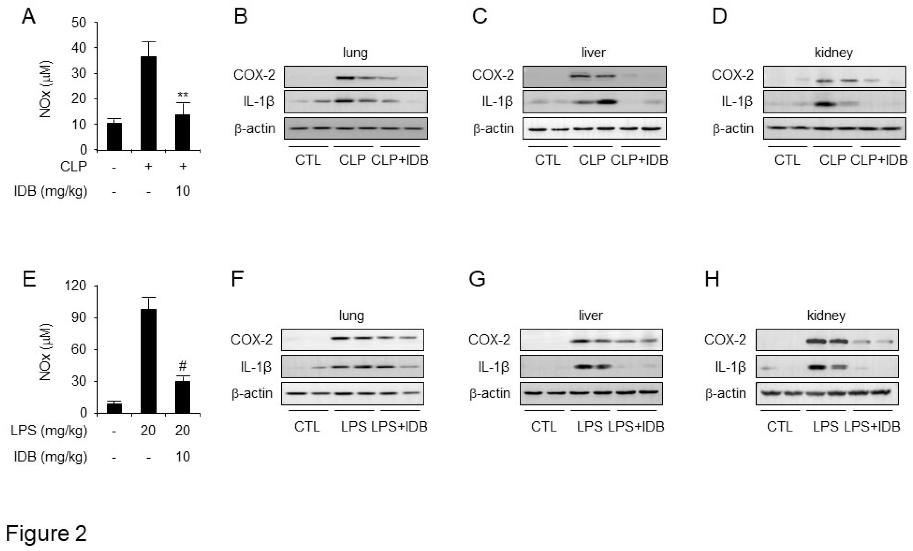 Preprints 94923 g002