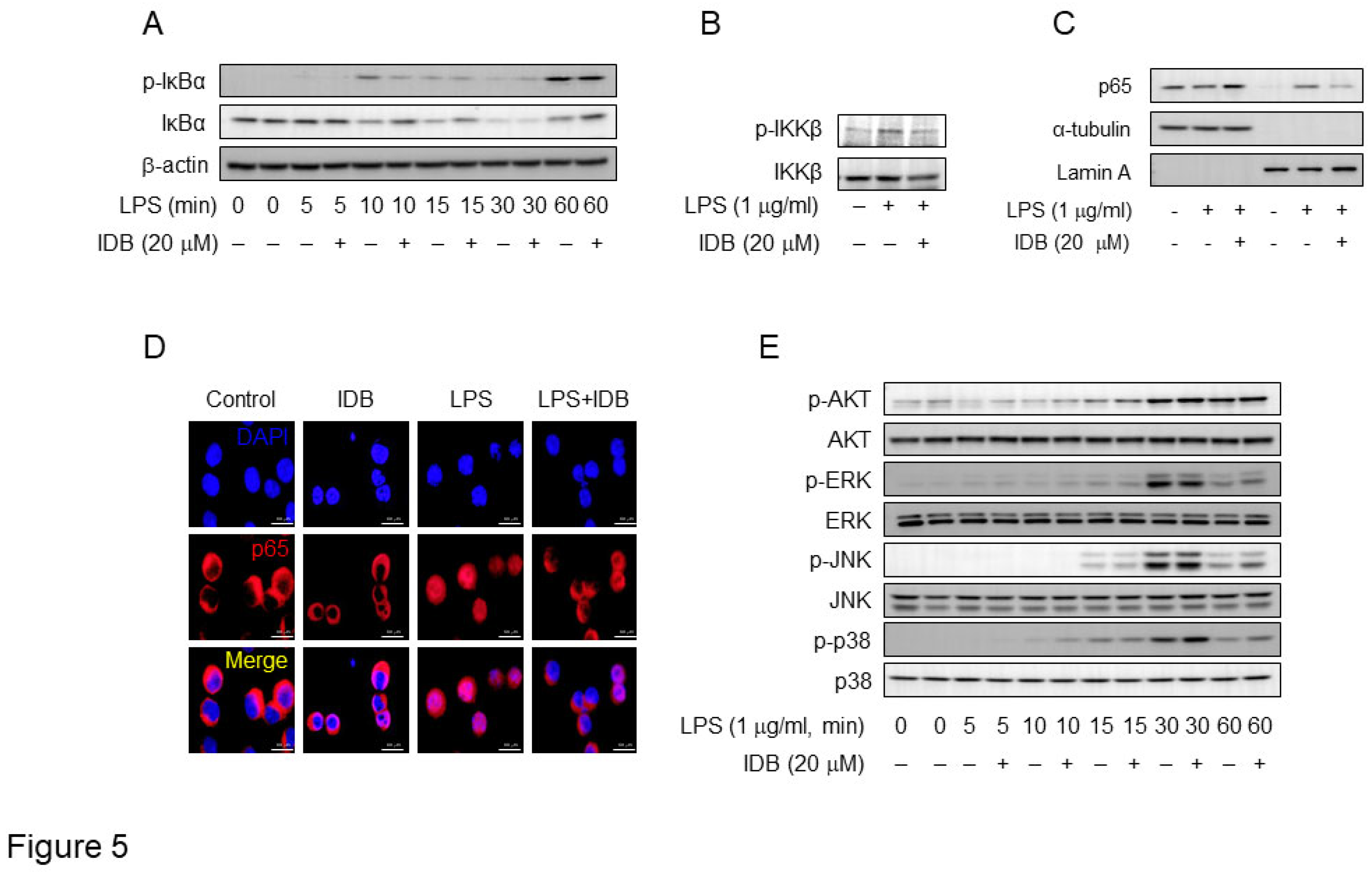 Preprints 94923 g005