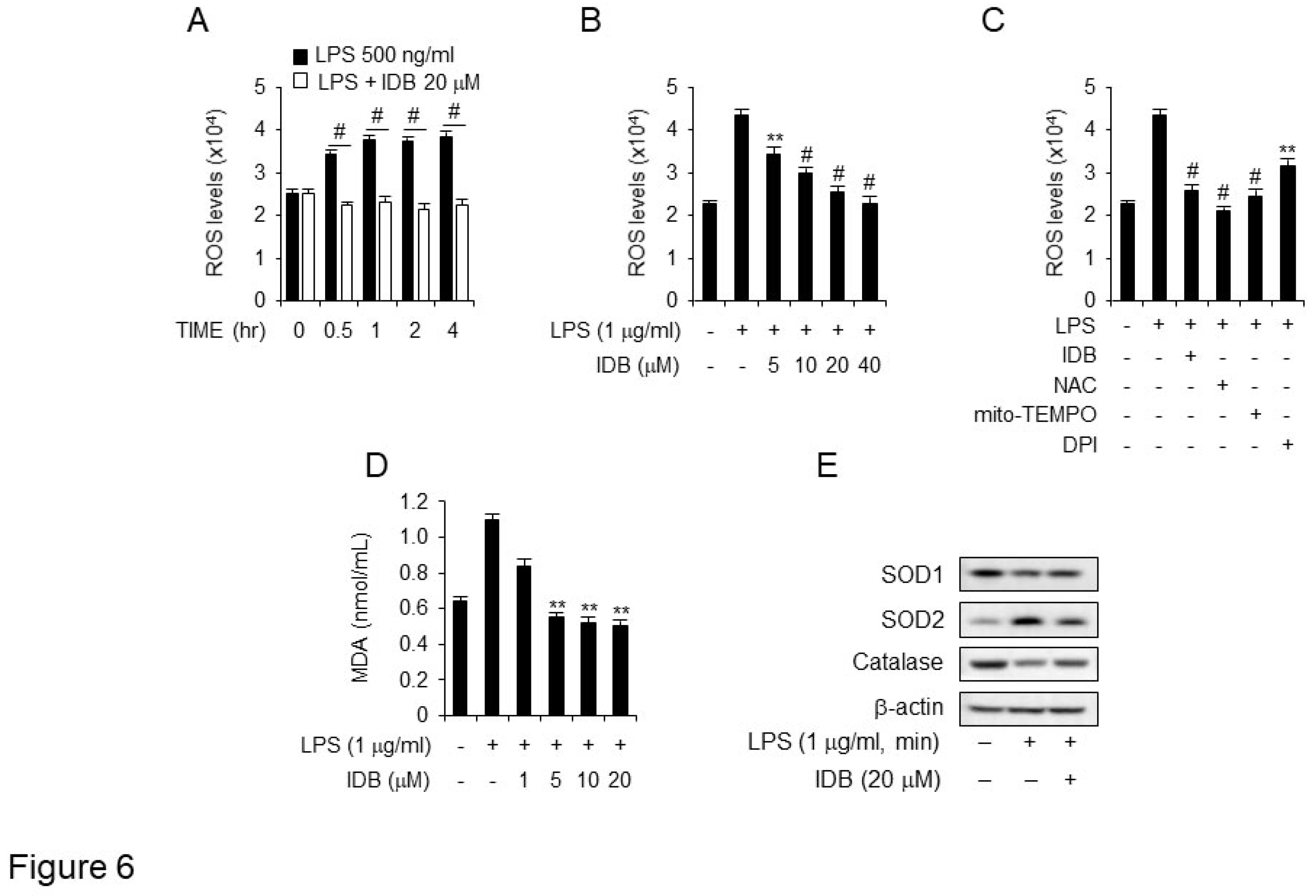 Preprints 94923 g006