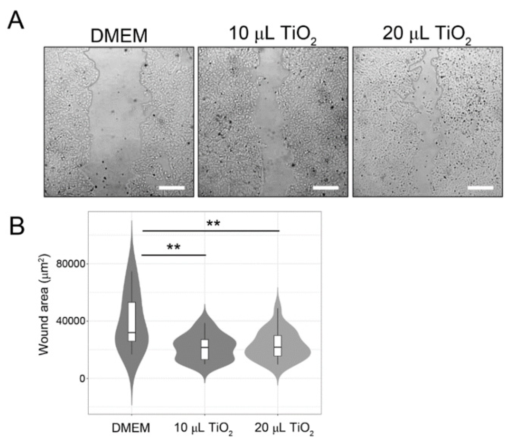 Preprints 79046 g005