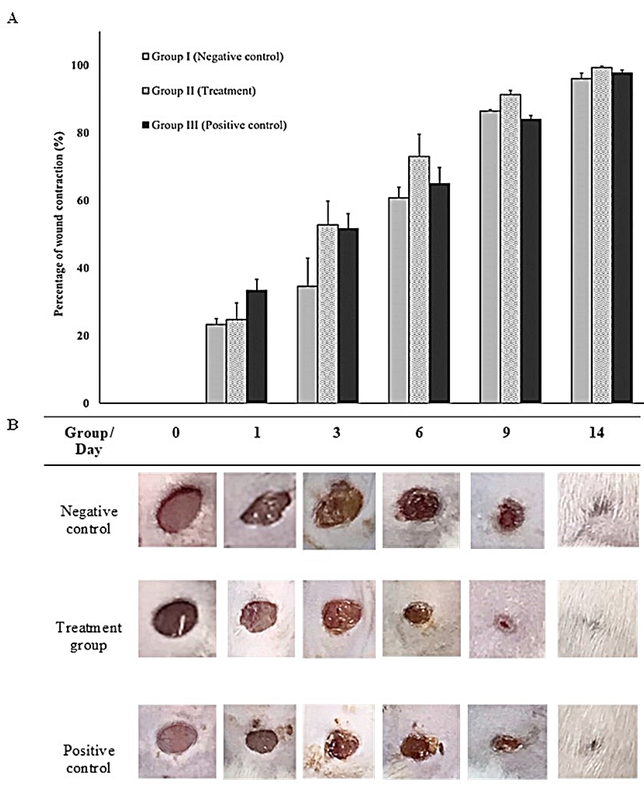 Preprints 79046 g008