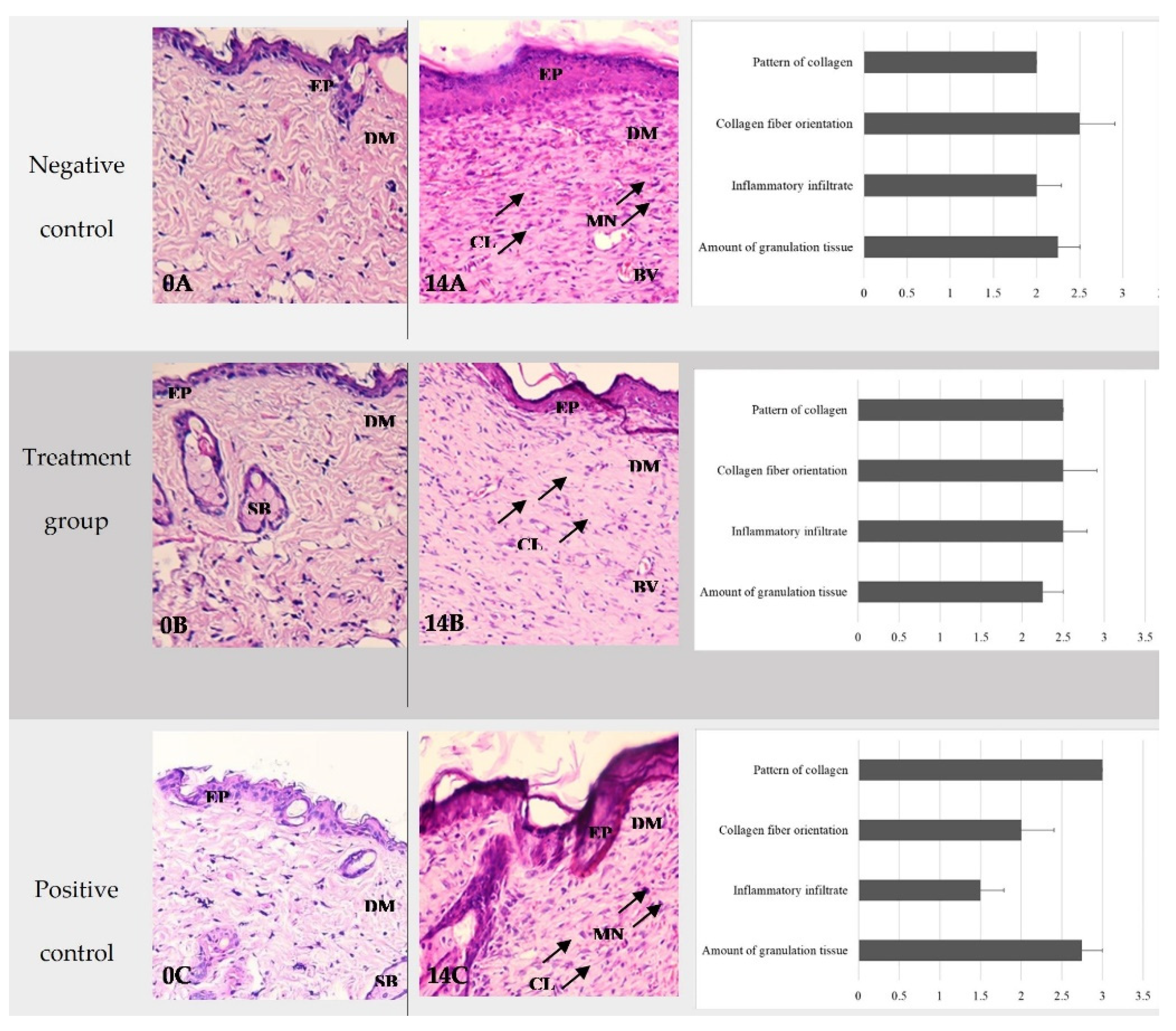 Preprints 79046 g009