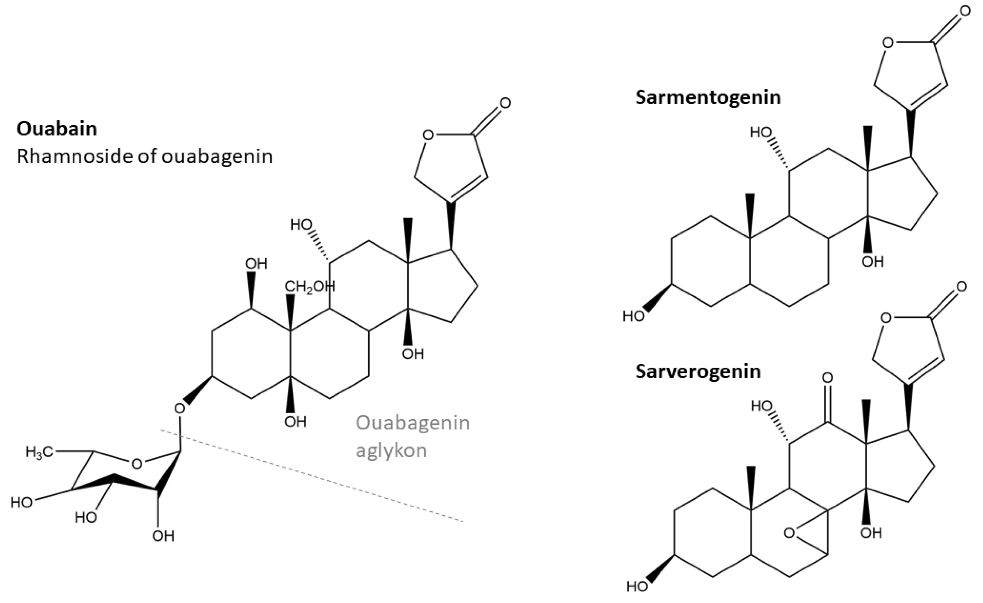 Preprints 106796 g001