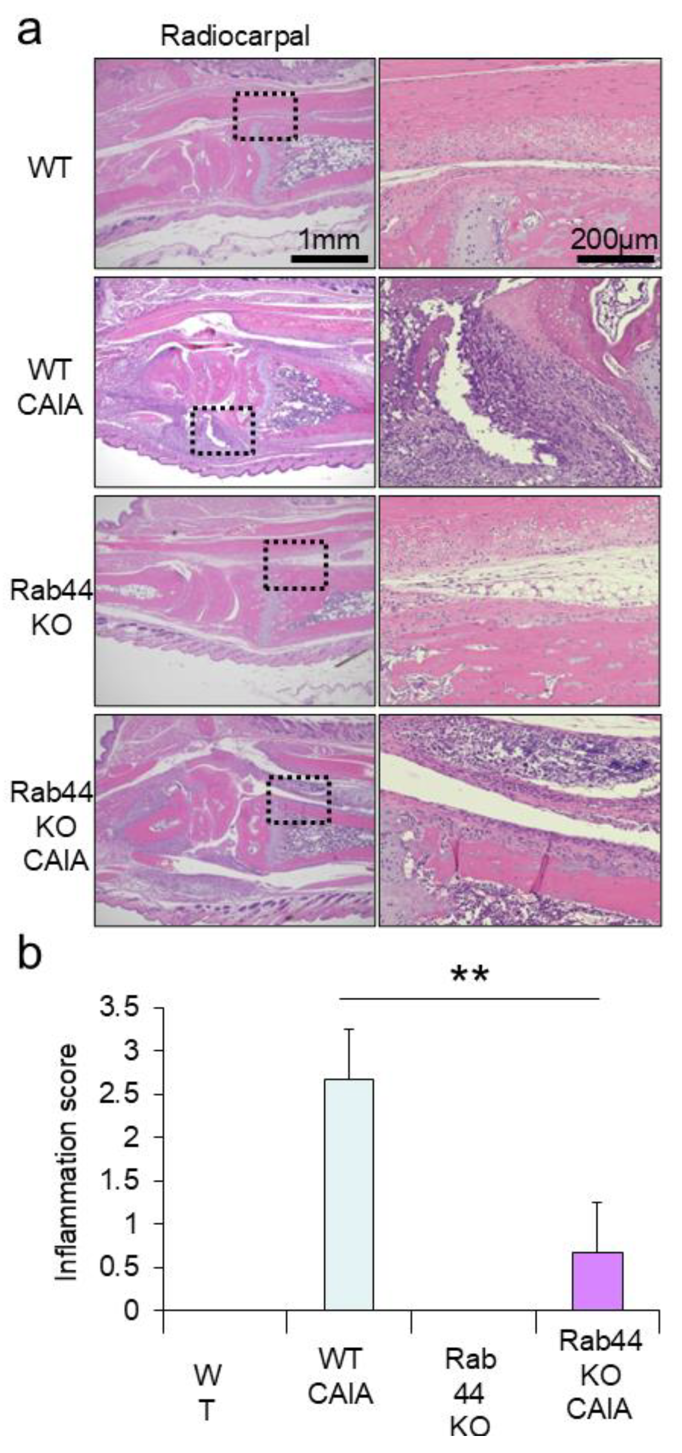 Preprints 118573 g002