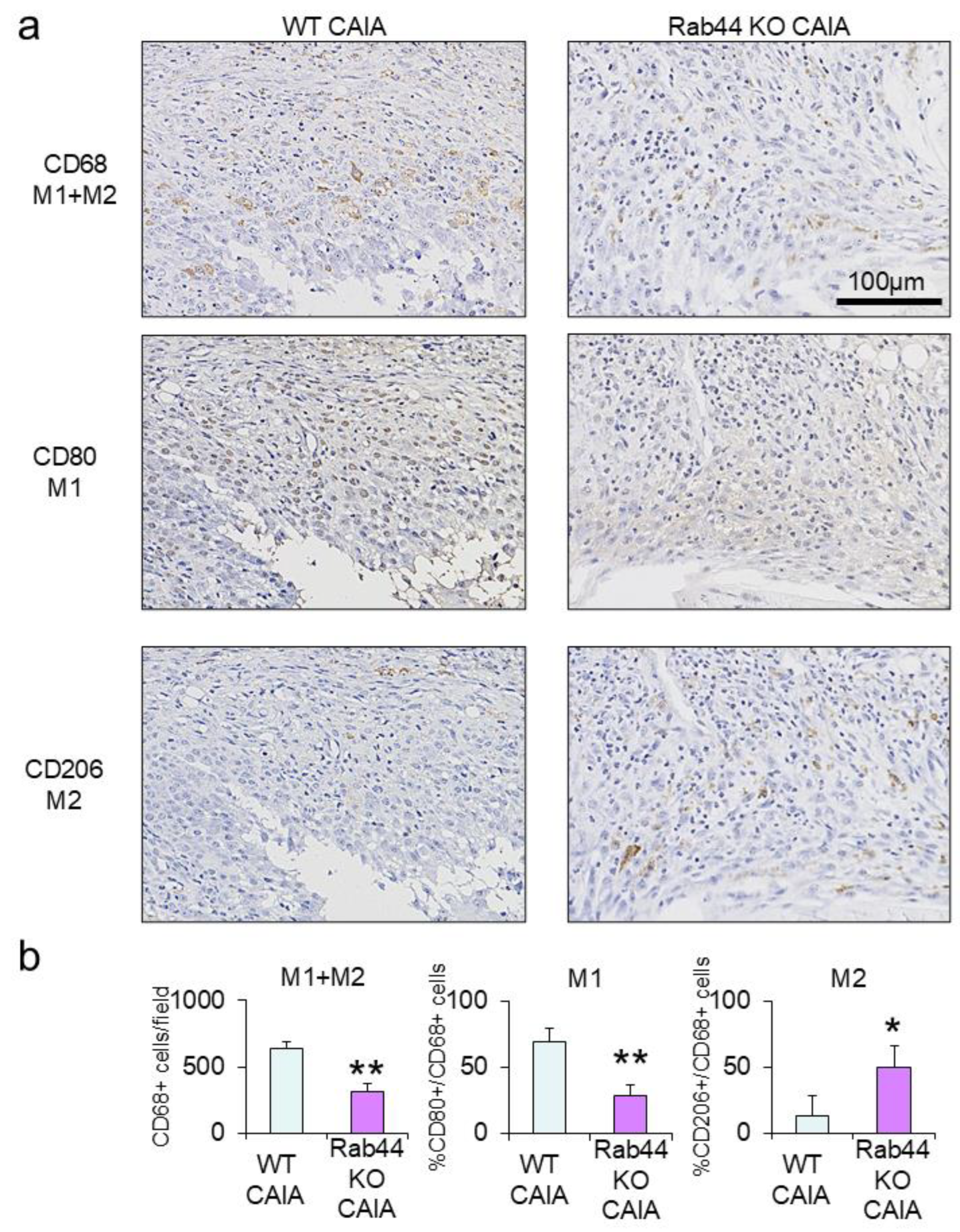 Preprints 118573 g004