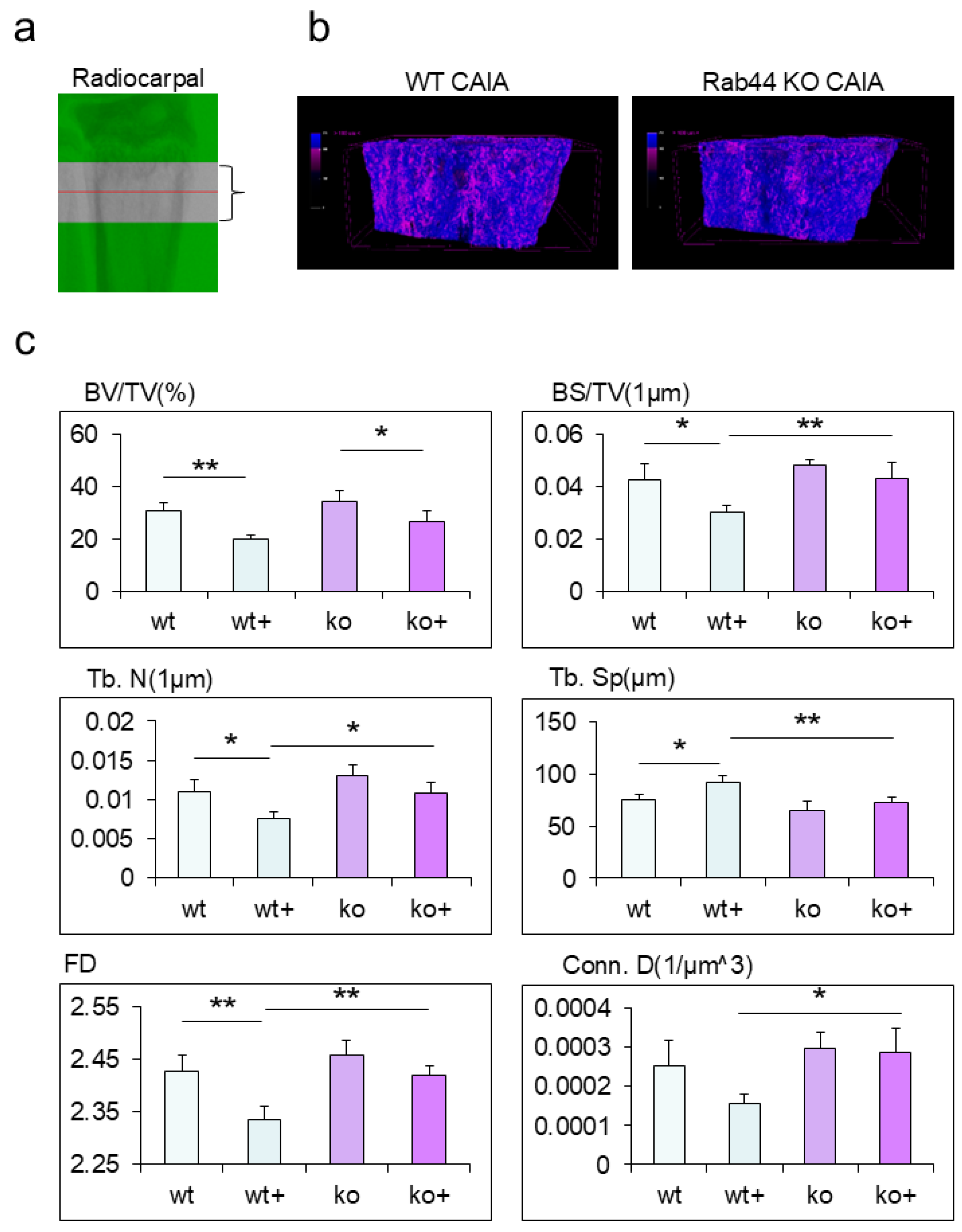 Preprints 118573 g005