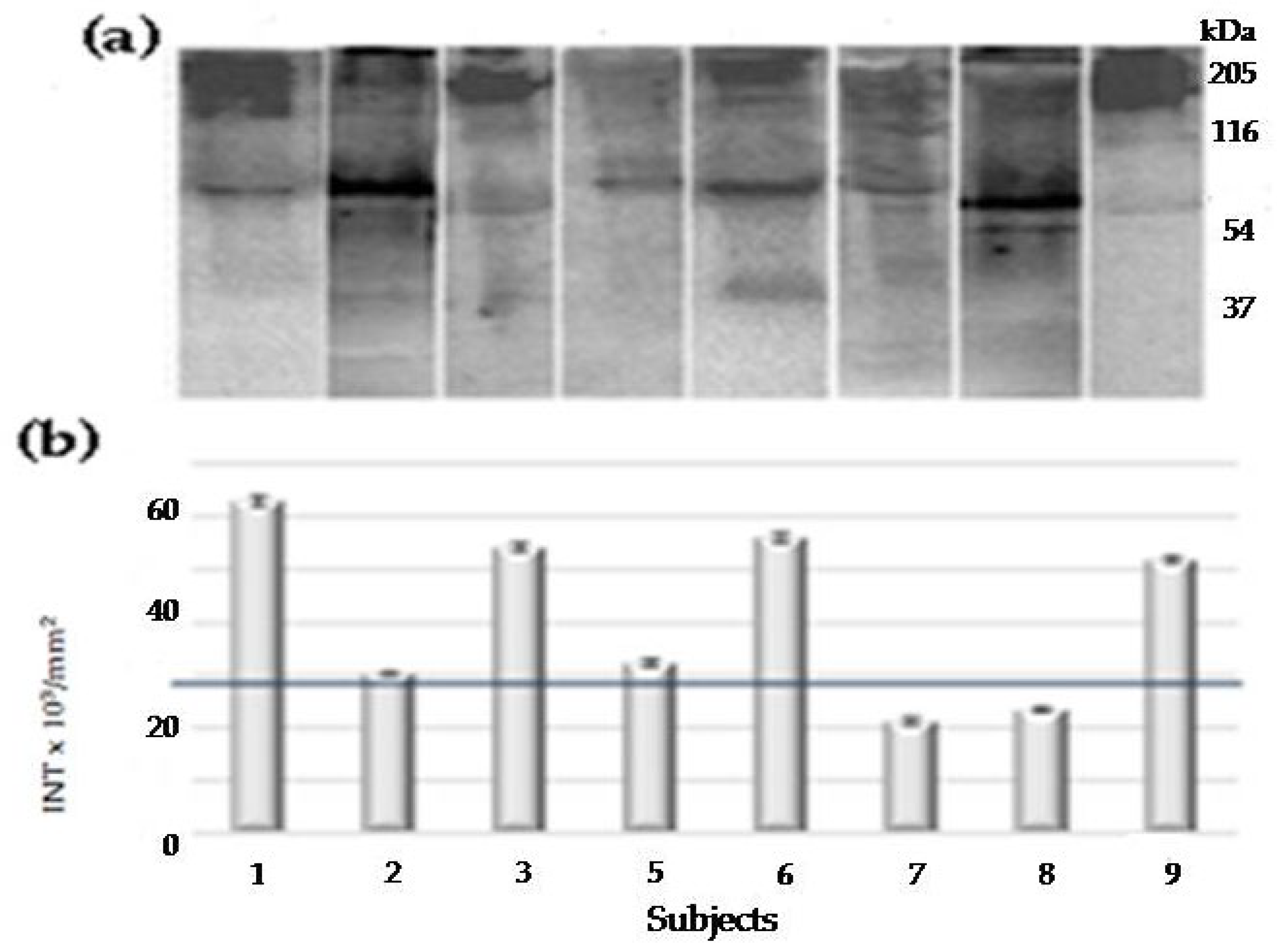 Preprints 98758 g001