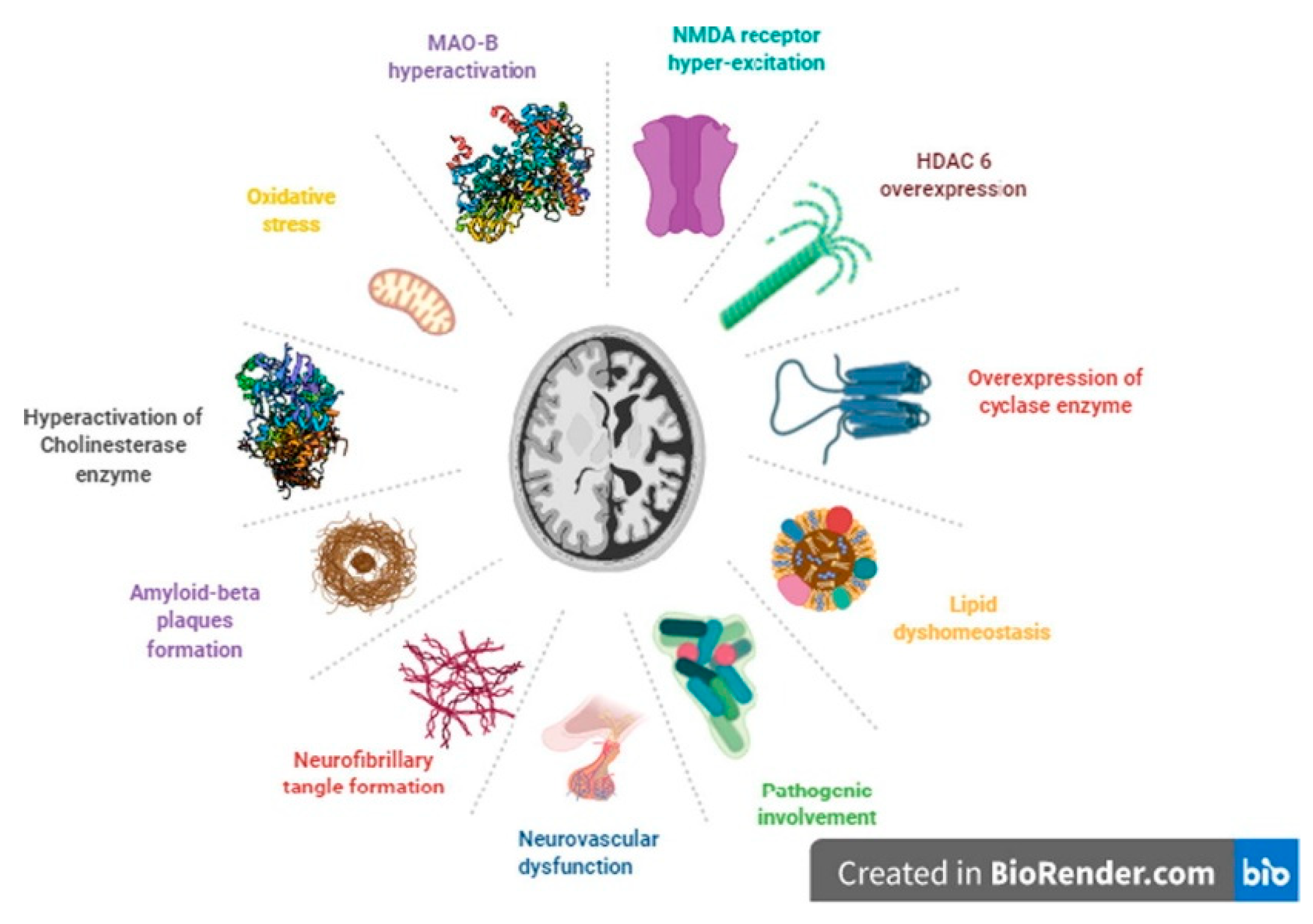 Preprints 100168 g001