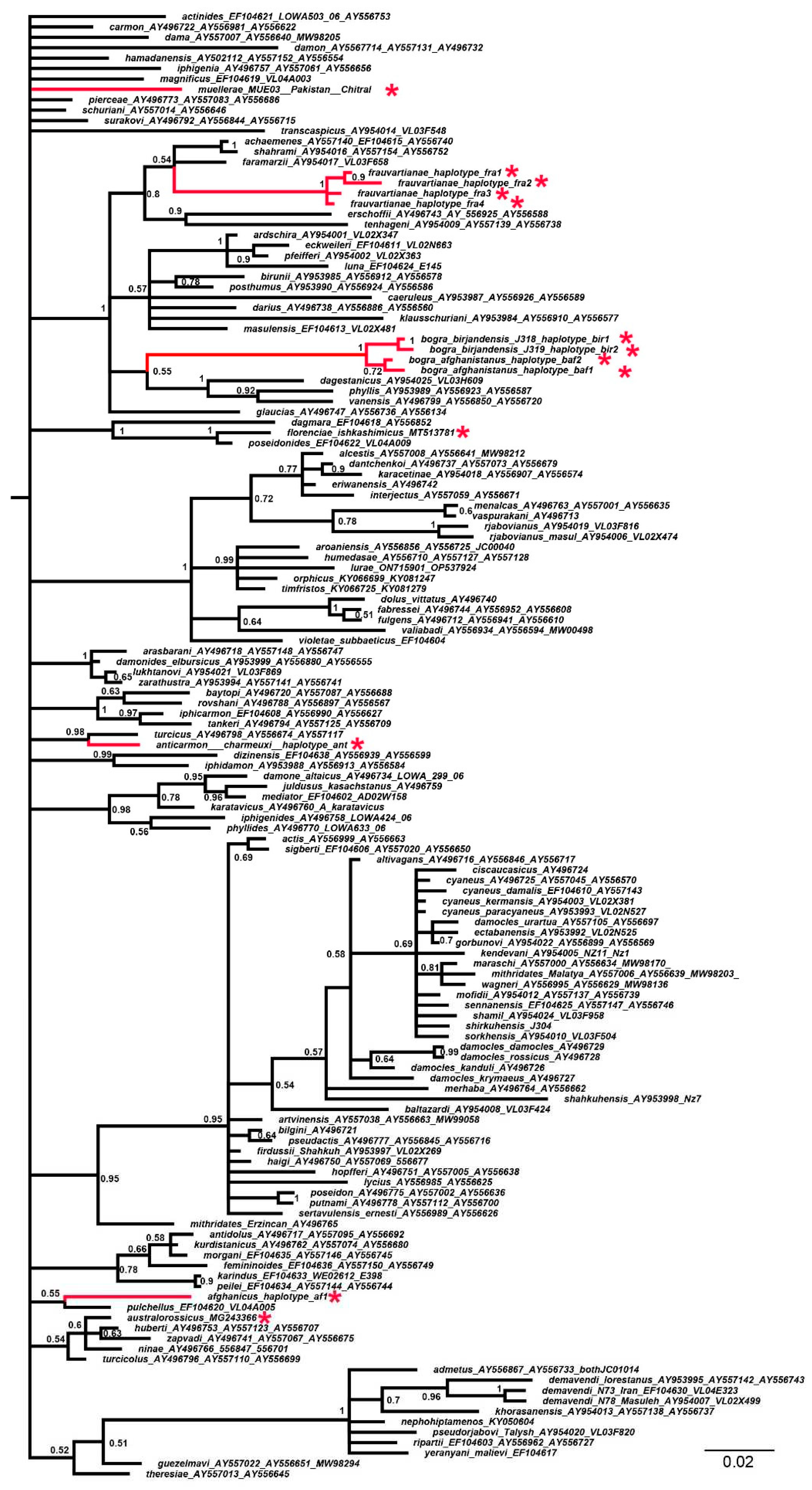 Preprints 82762 g001