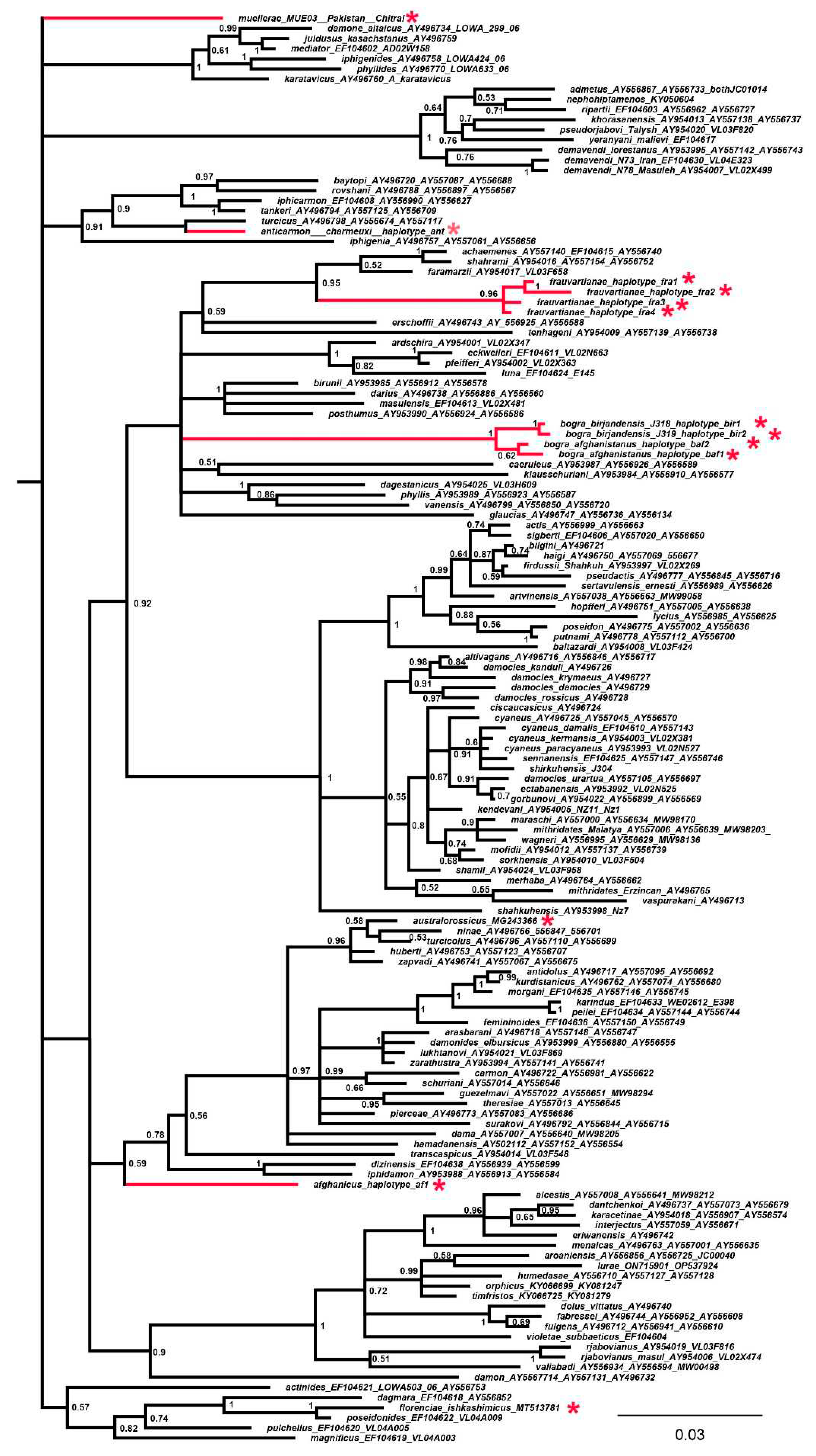 Preprints 82762 g002