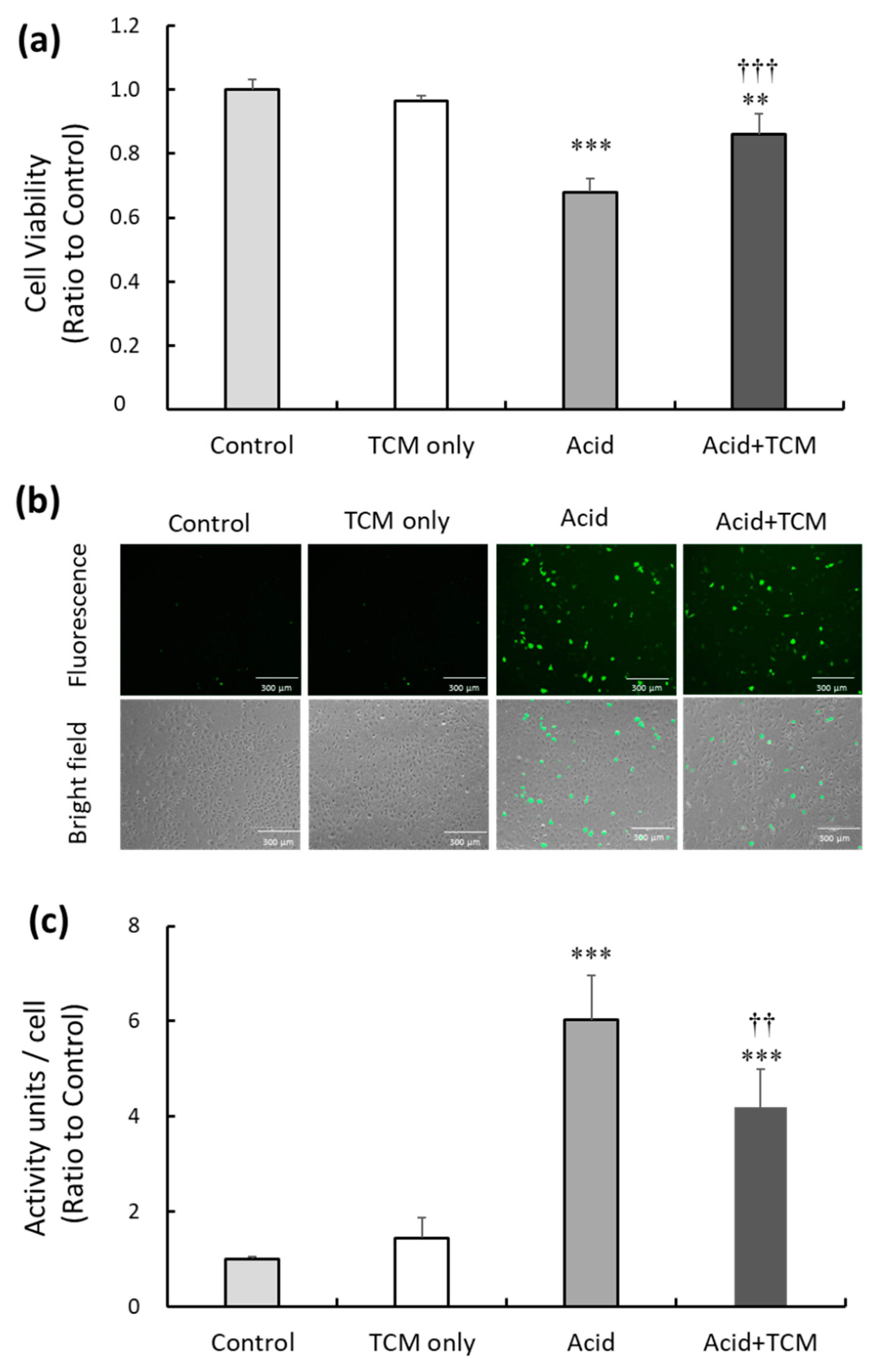 Preprints 79589 g001