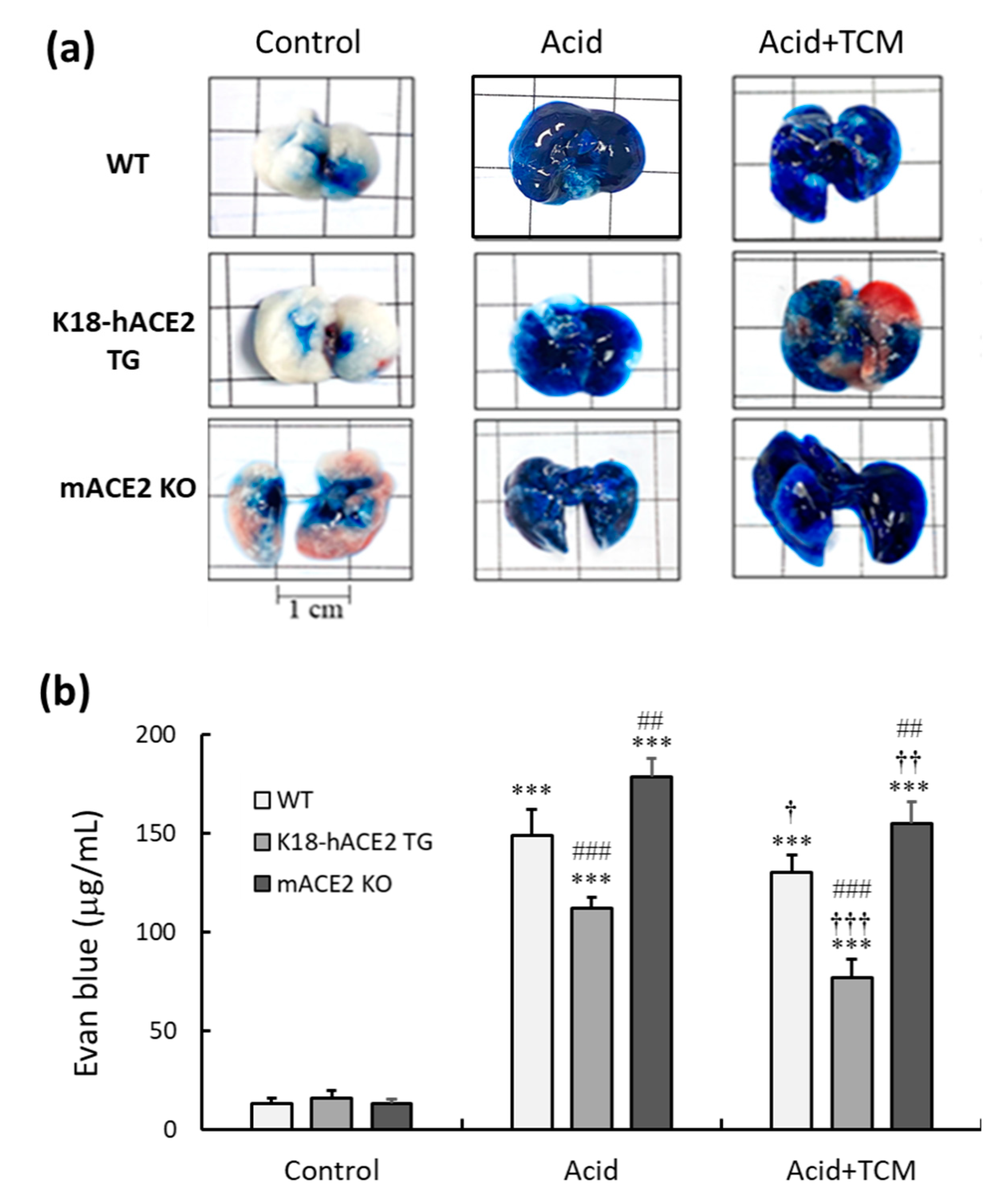 Preprints 79589 g003