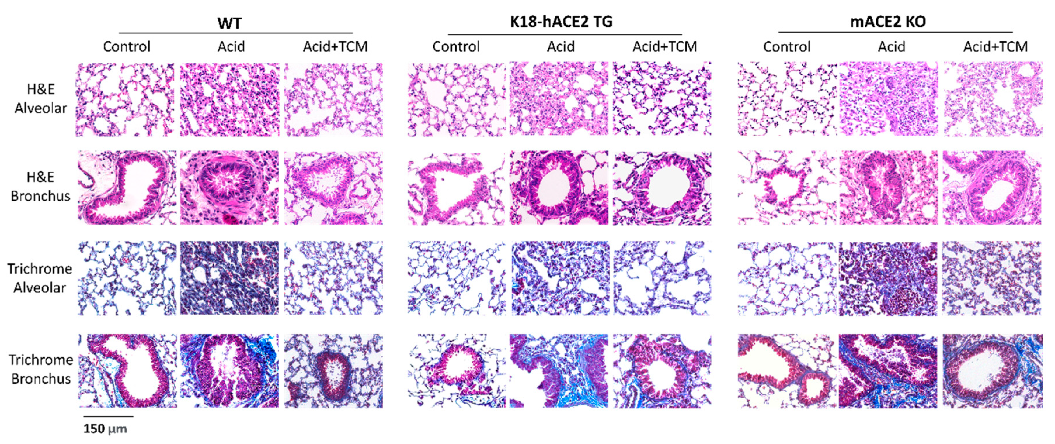 Preprints 79589 g004