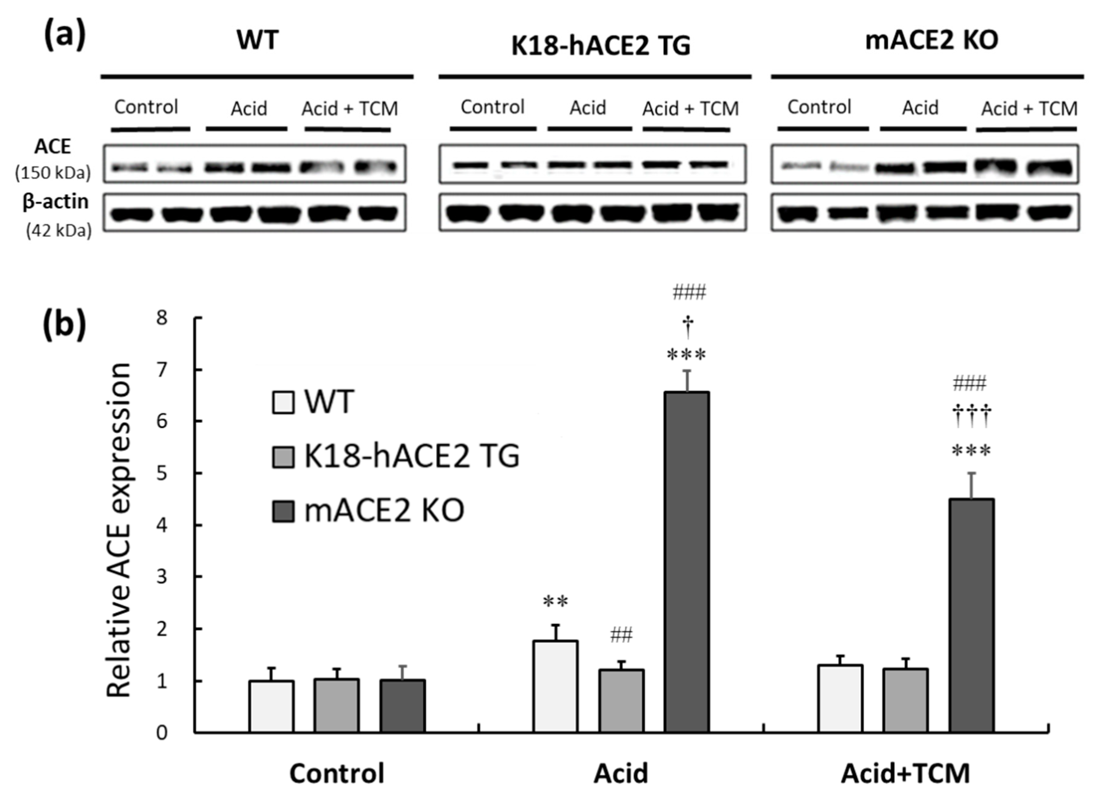 Preprints 79589 g006