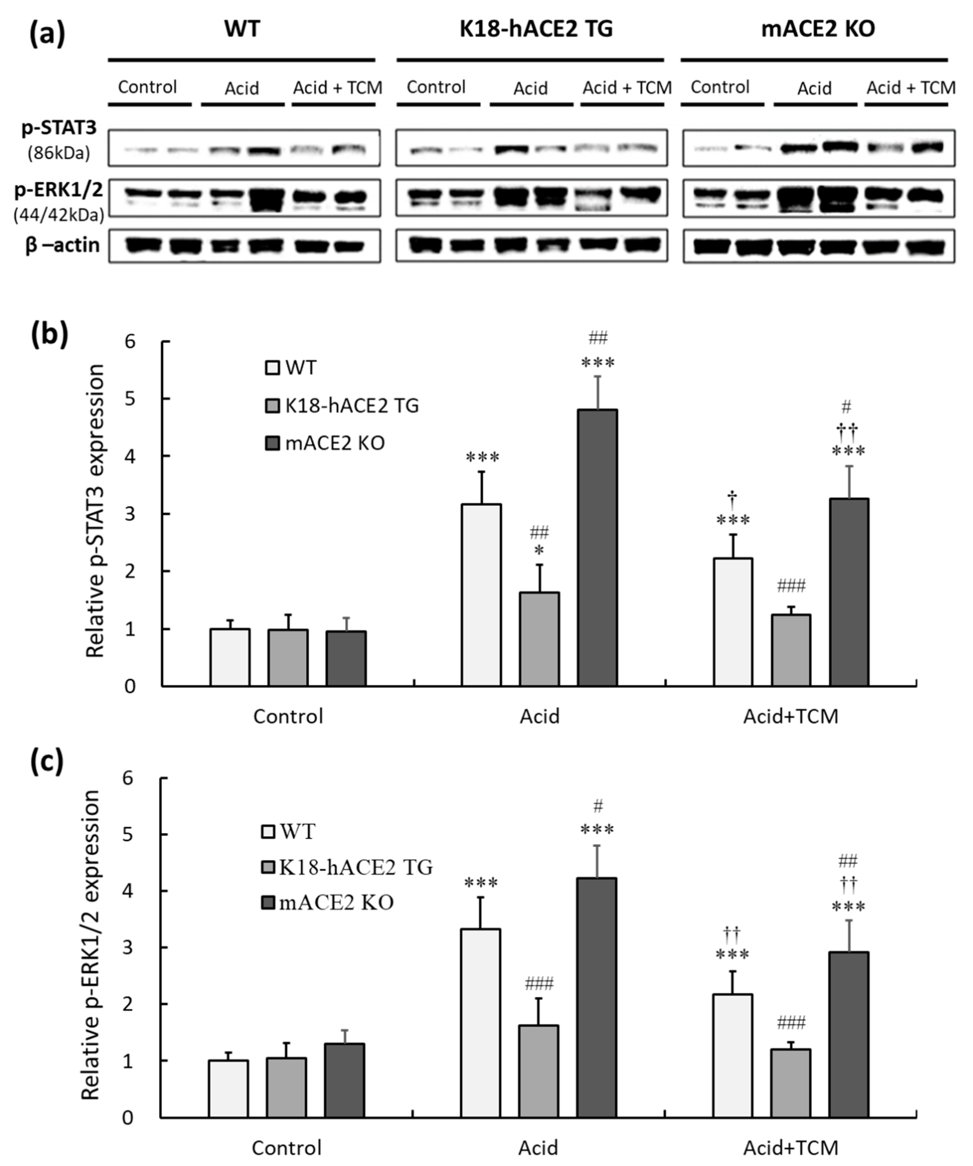 Preprints 79589 g007