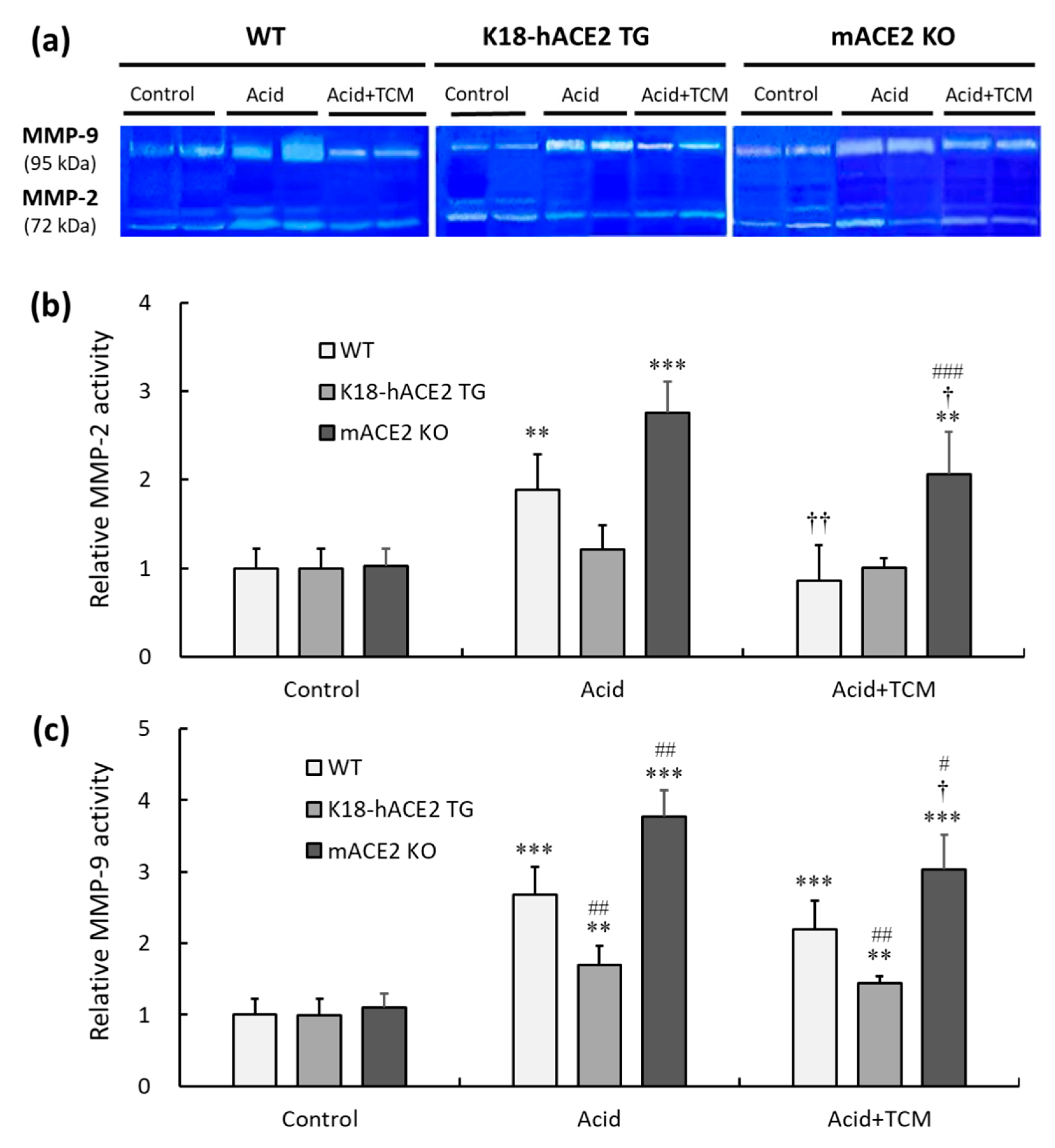 Preprints 79589 g008