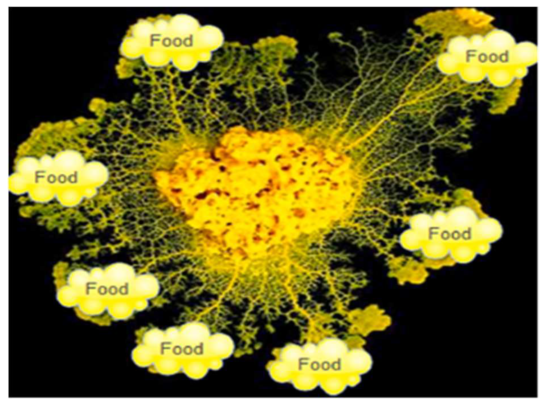 Preprints 84592 g003