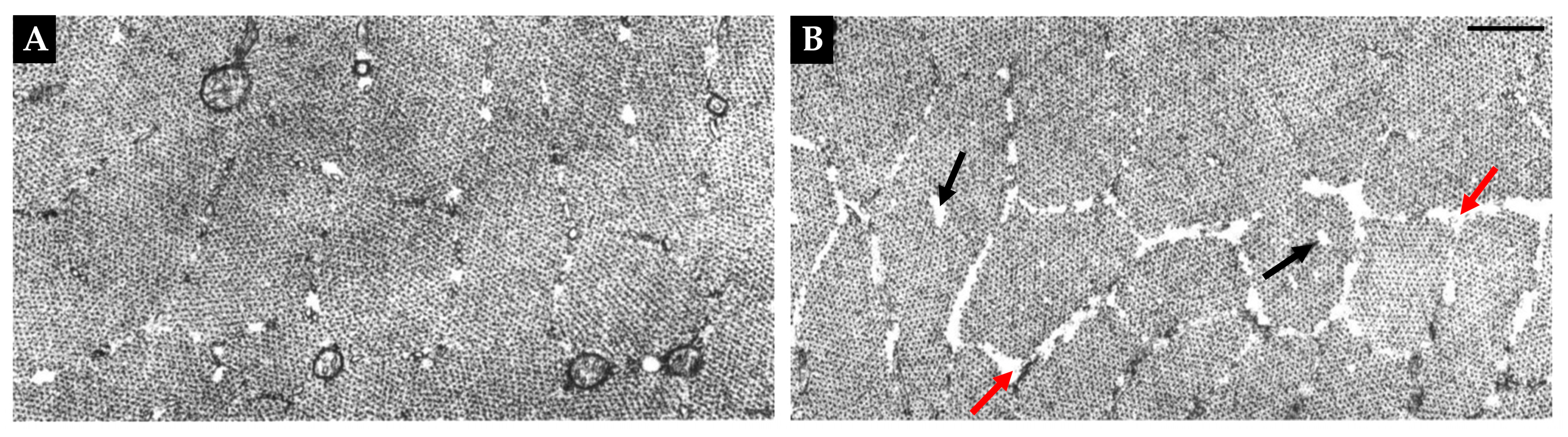 Preprints 86344 g007