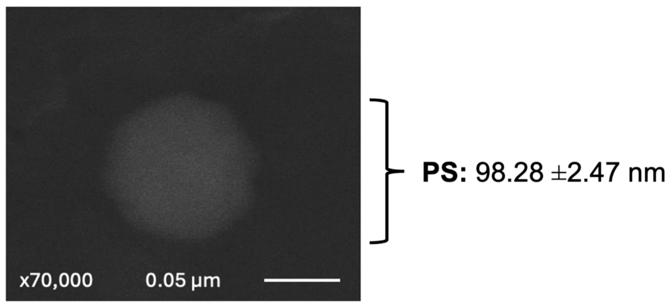 Preprints 112573 g001