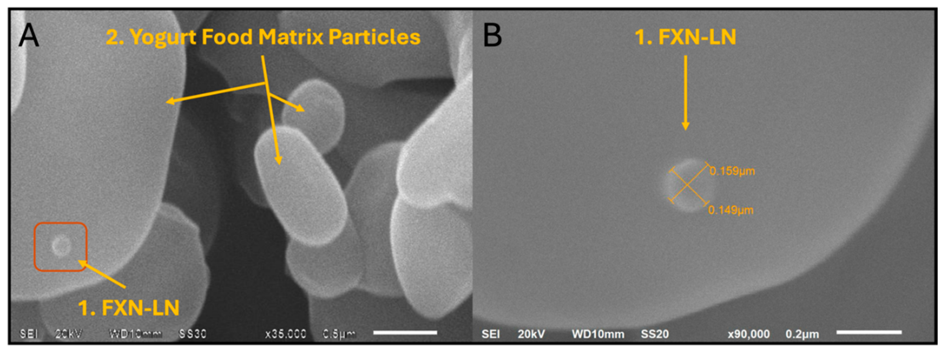 Preprints 112573 g003