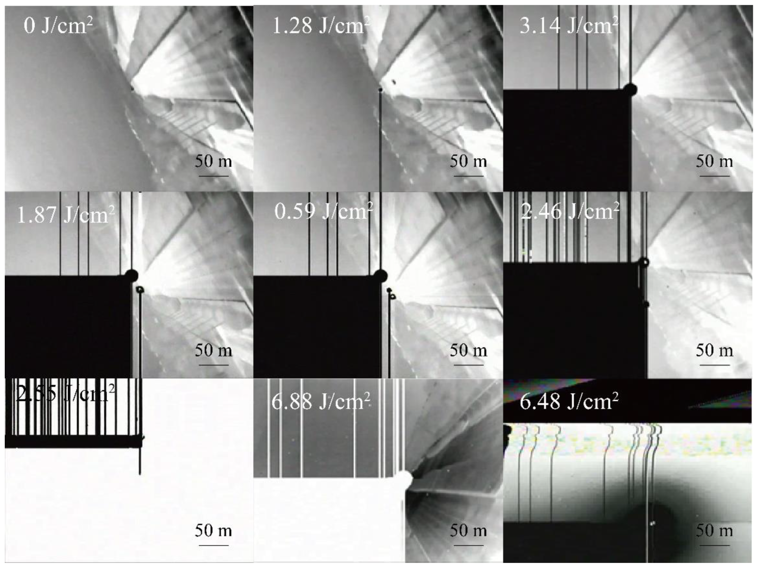 Preprints 98497 g007