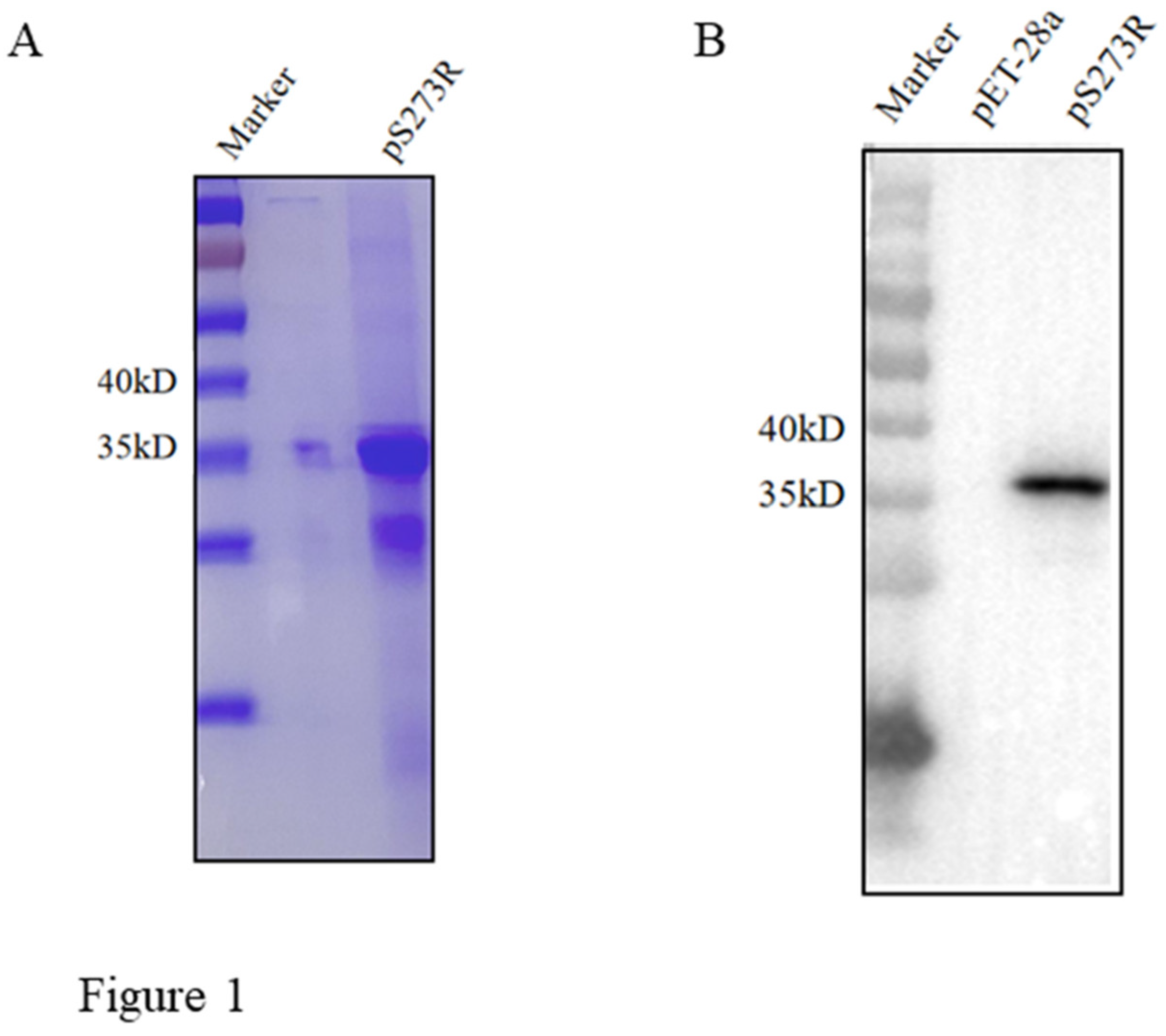 Preprints 108544 g001