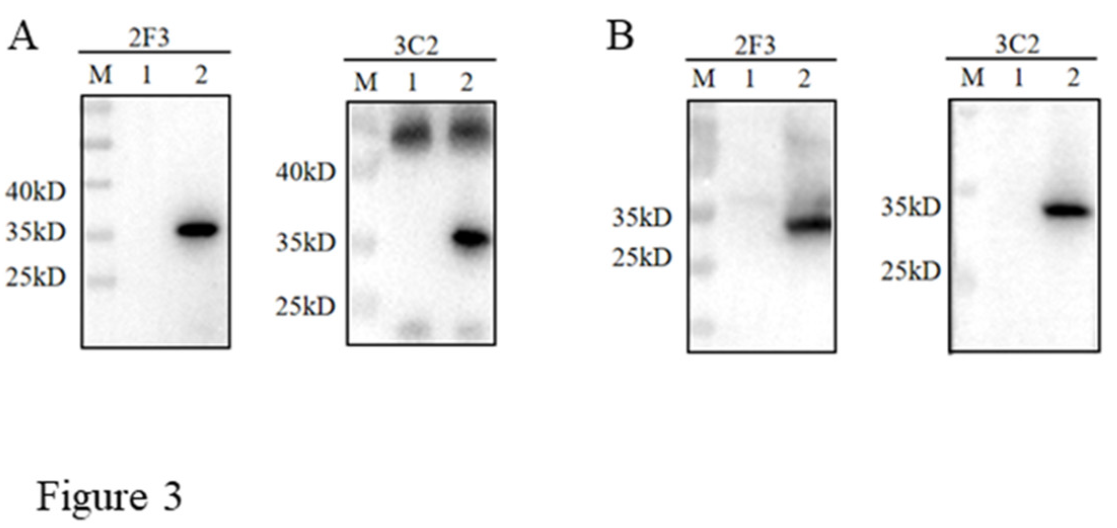 Preprints 108544 g003