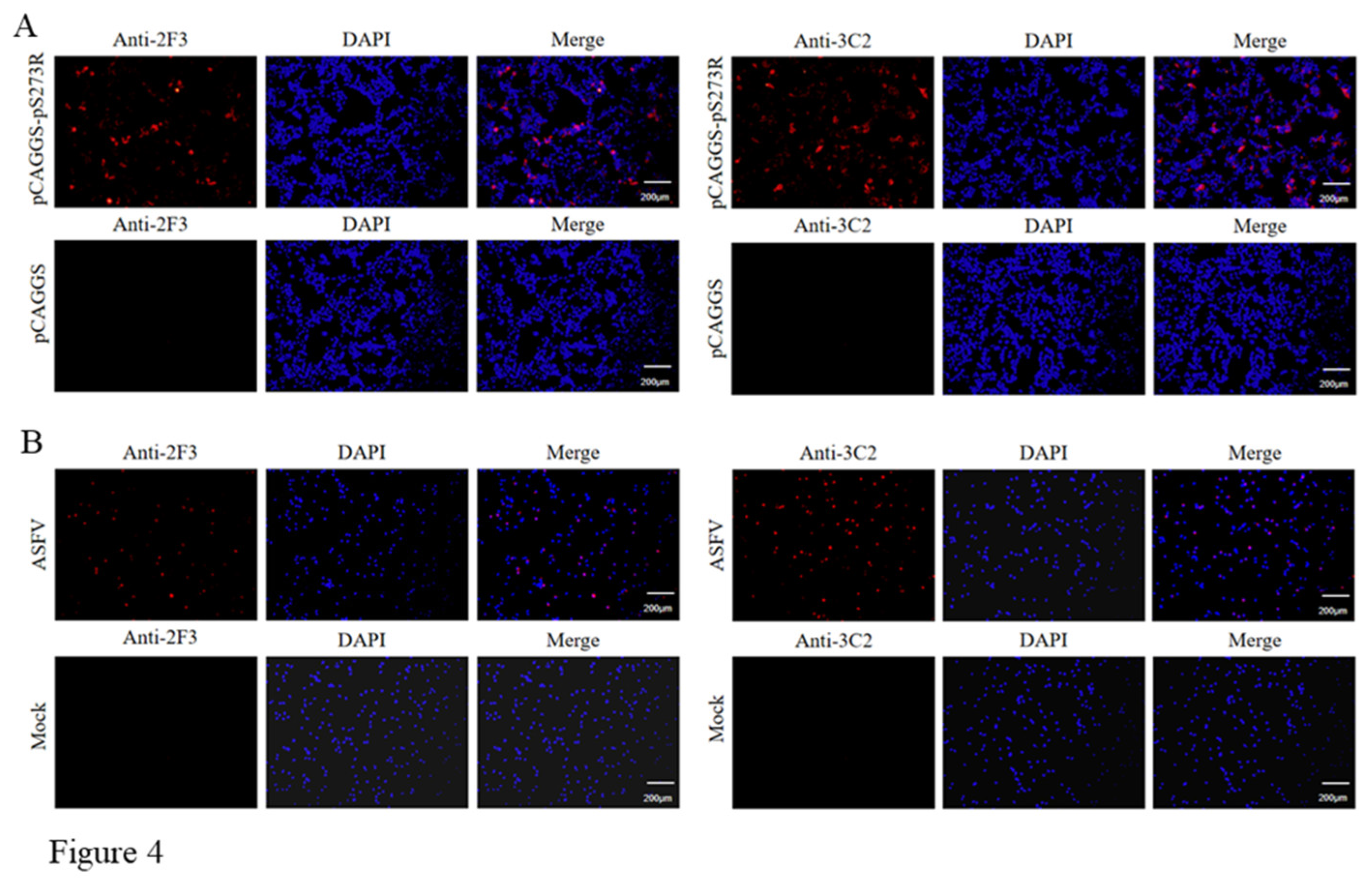 Preprints 108544 g004