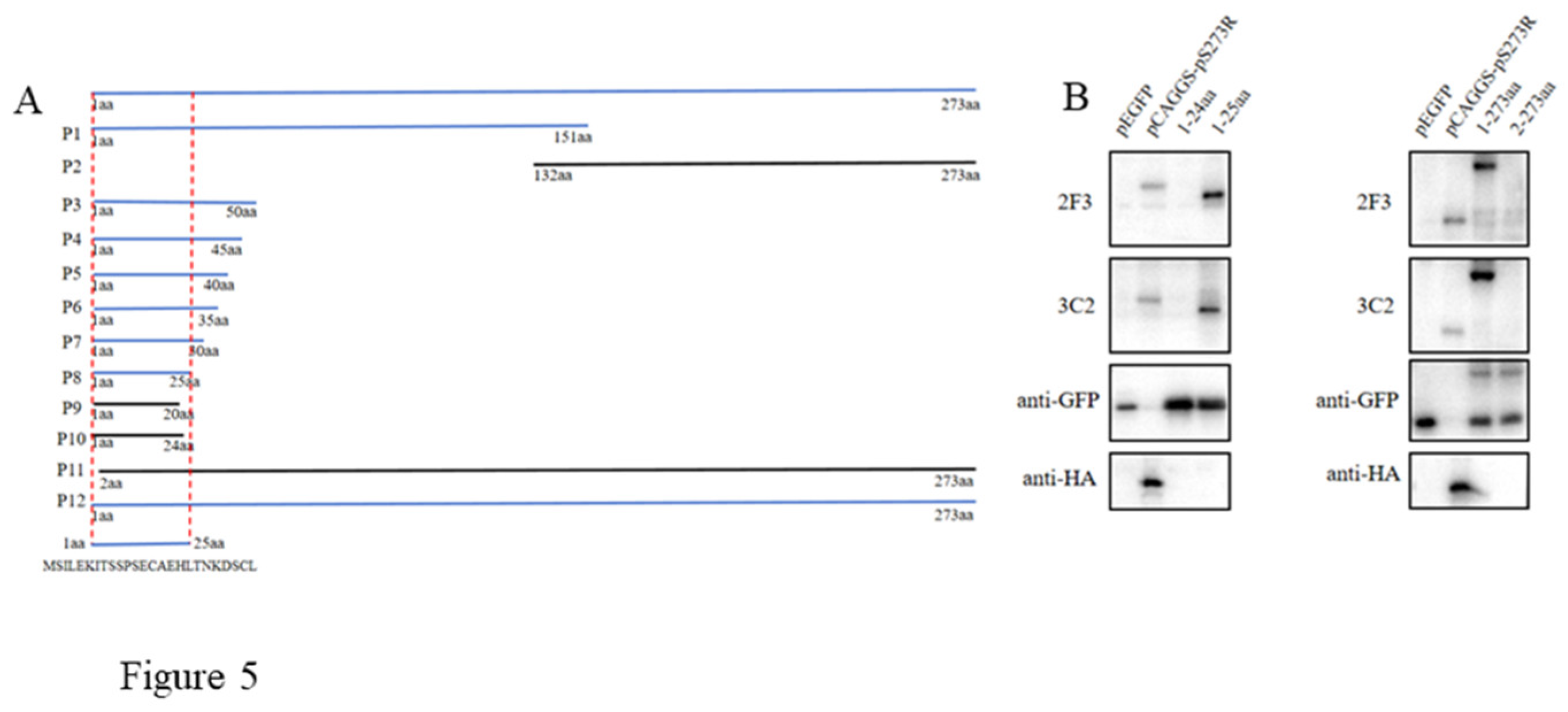 Preprints 108544 g005