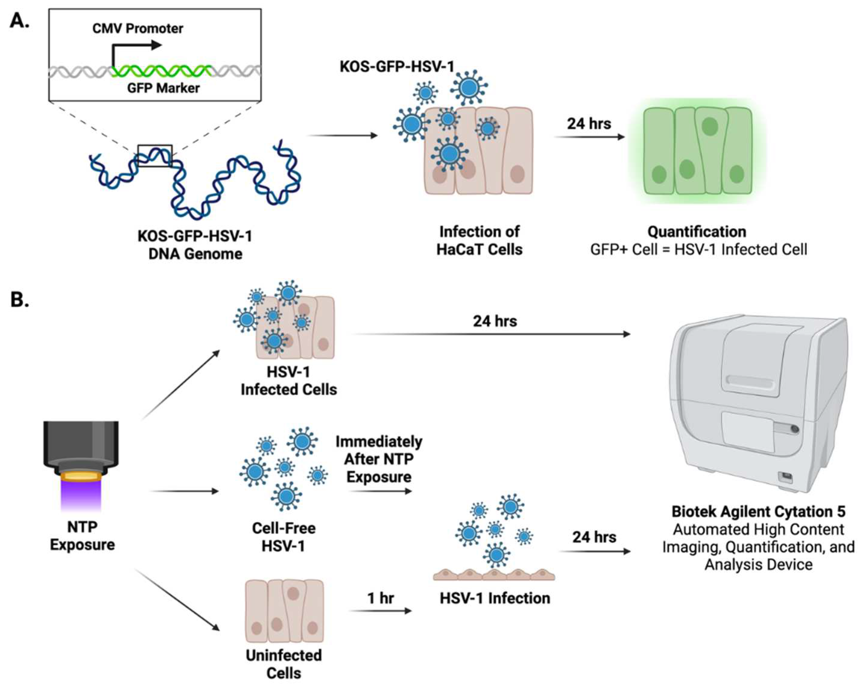 Preprints 96192 g001