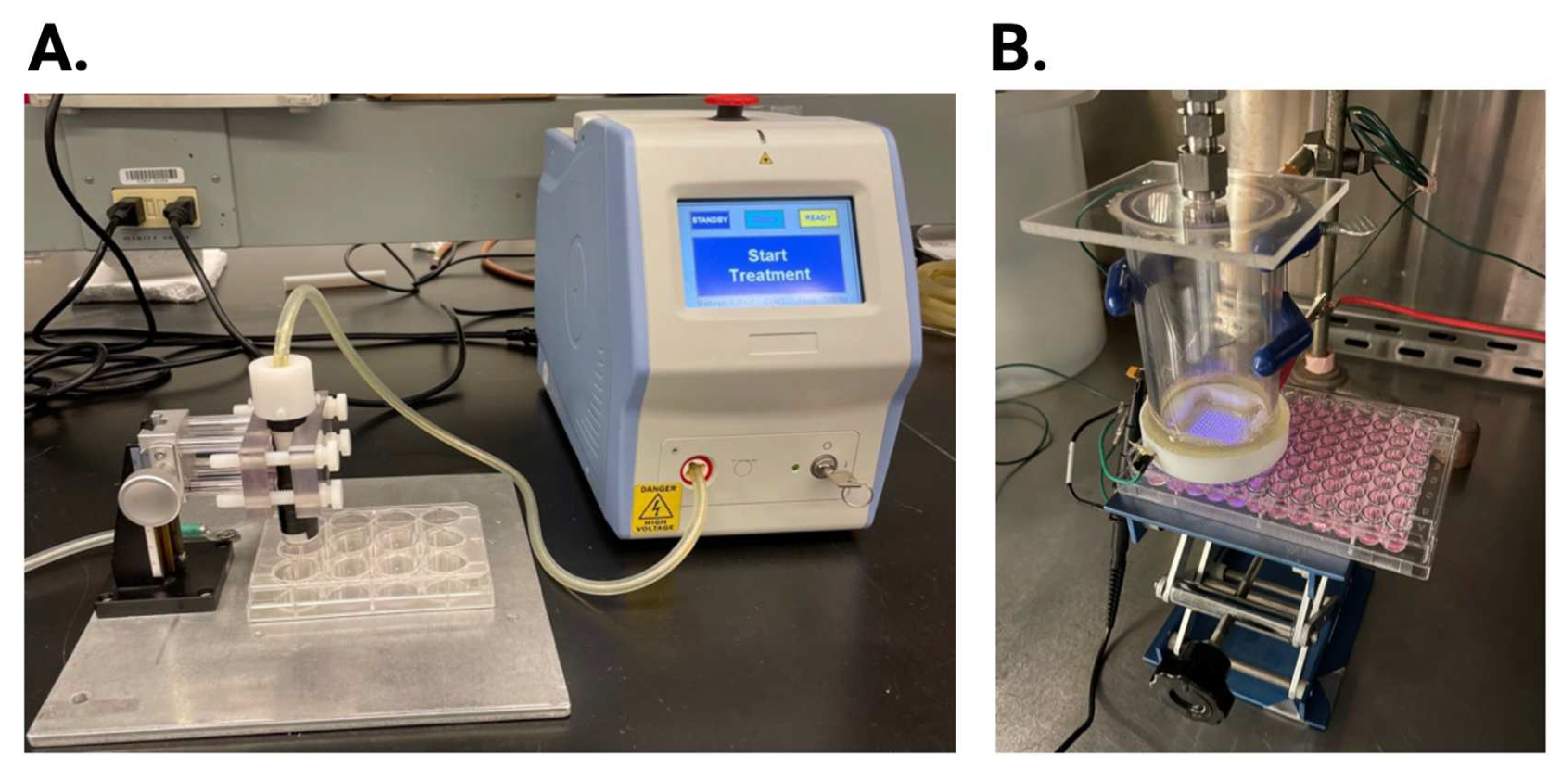 Preprints 96192 g002