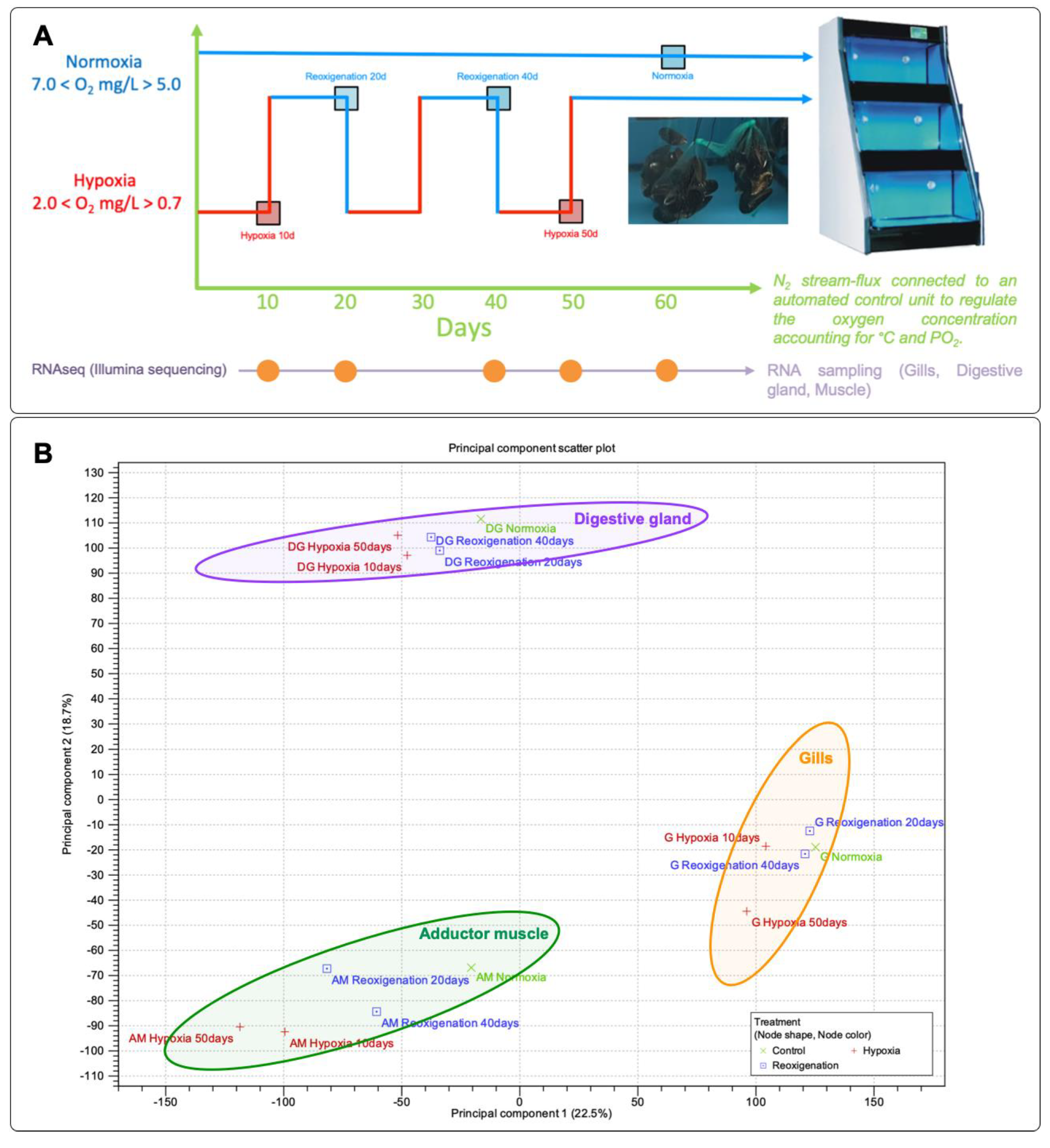 Preprints 102637 g001