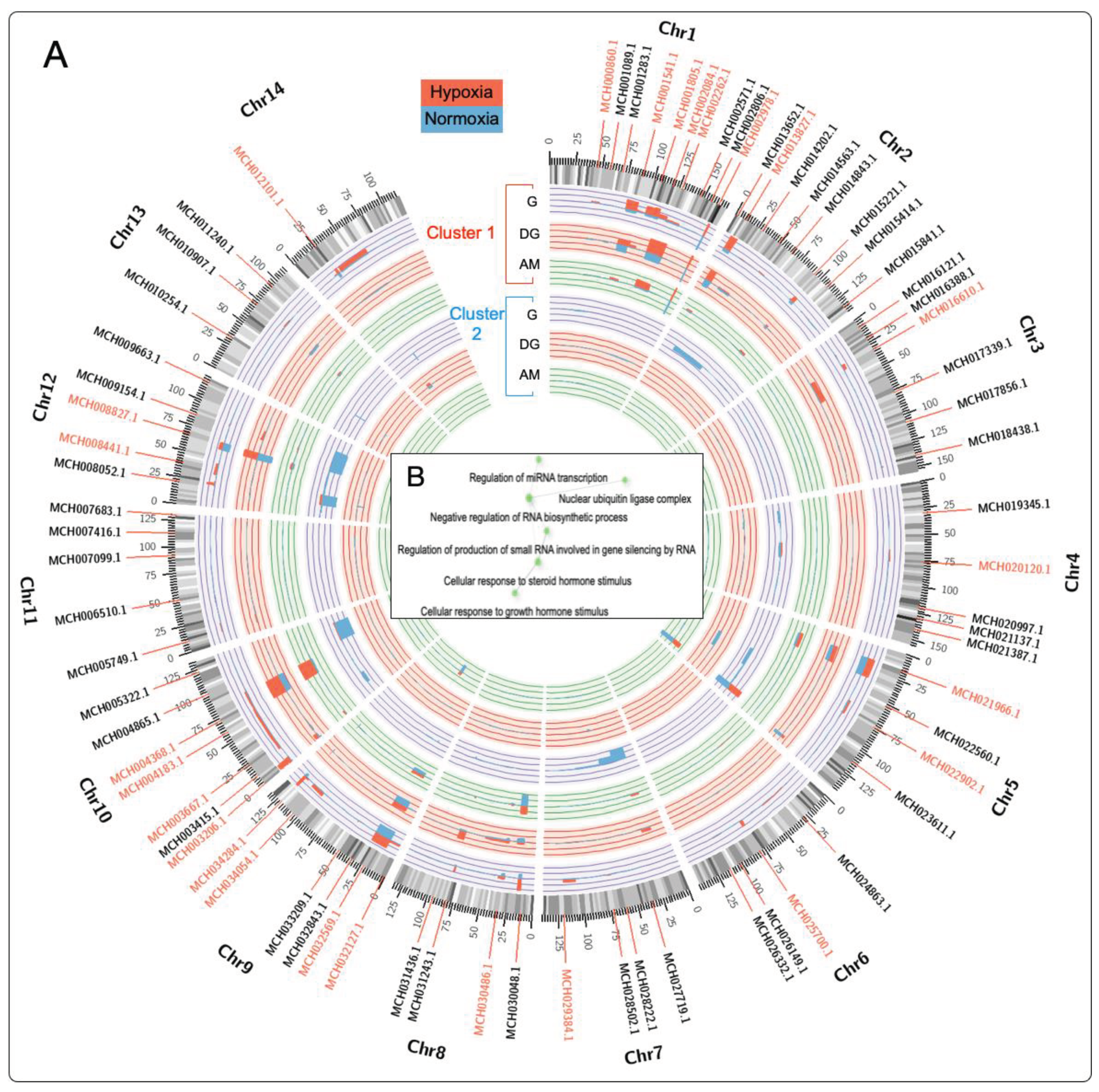 Preprints 102637 g004