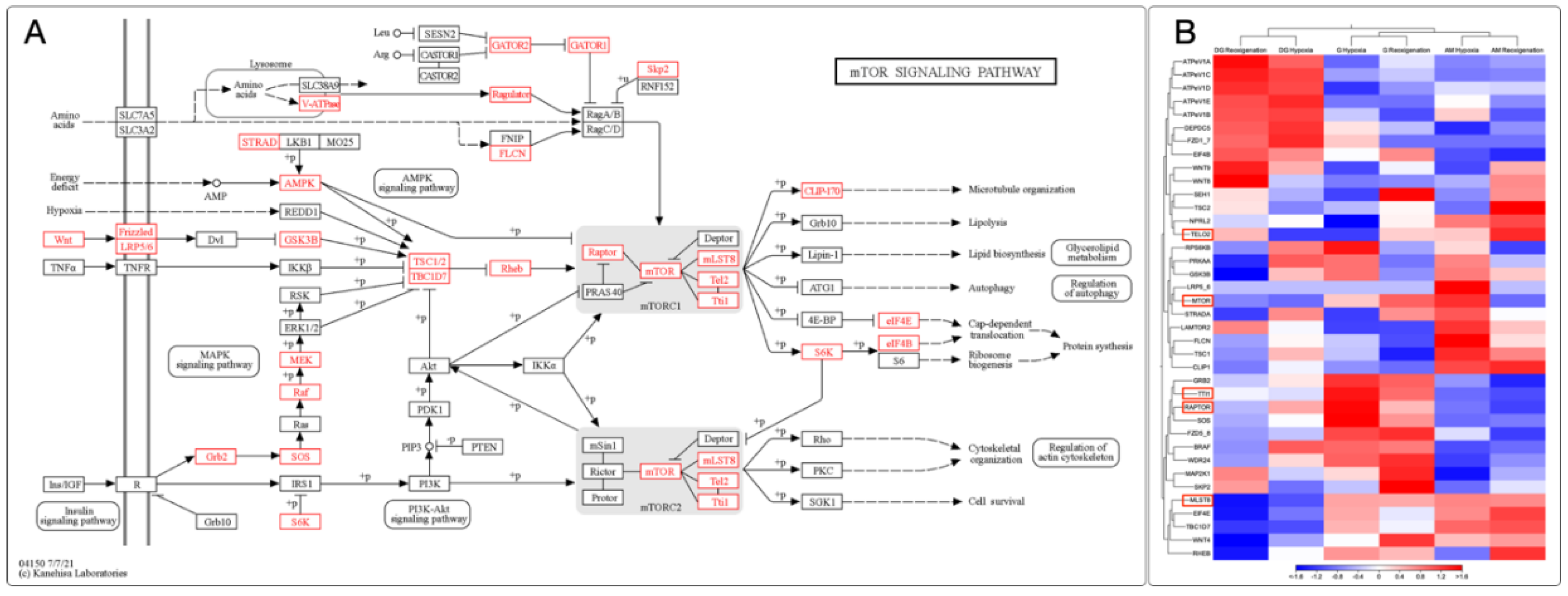 Preprints 102637 g008