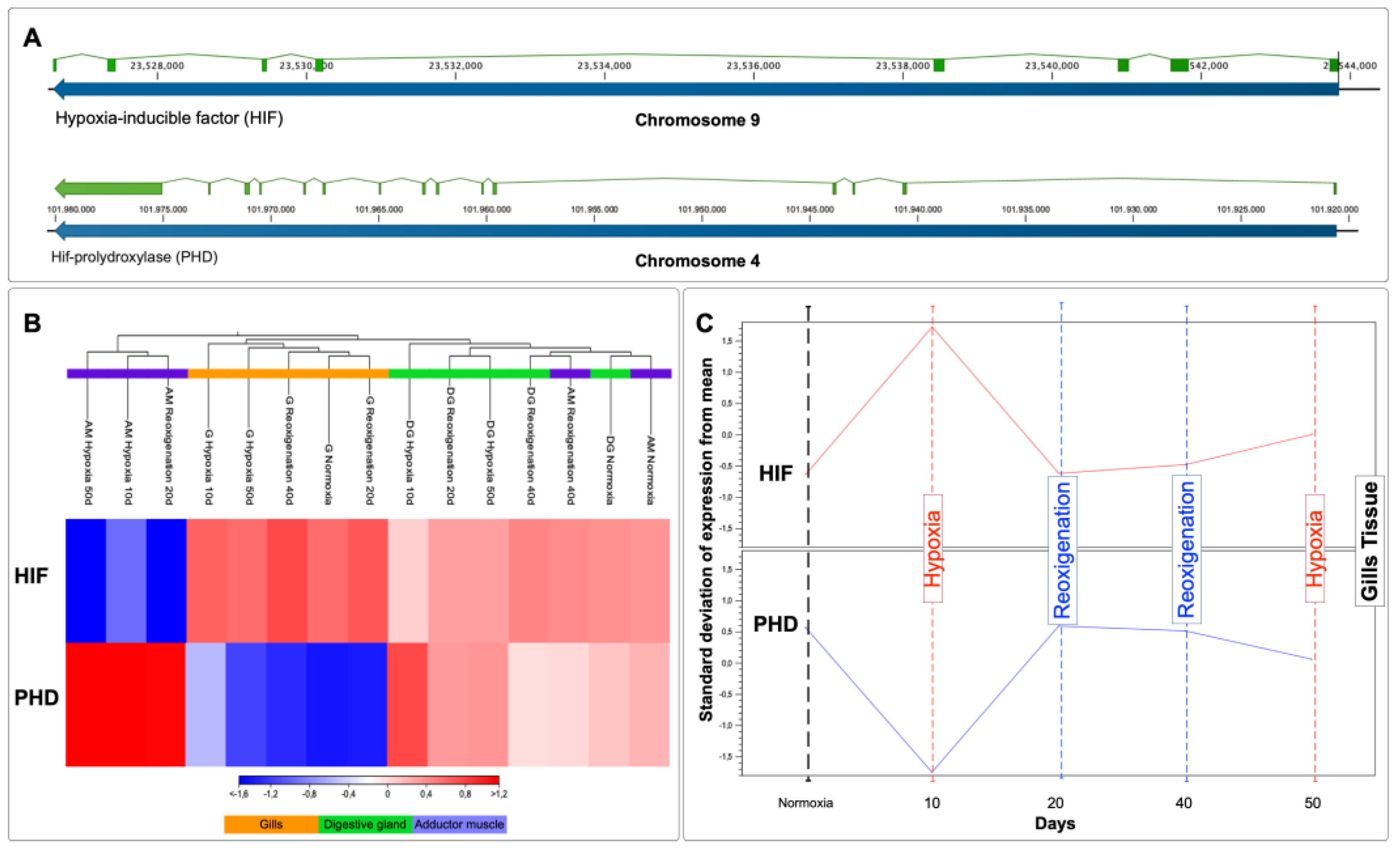 Preprints 102637 g009