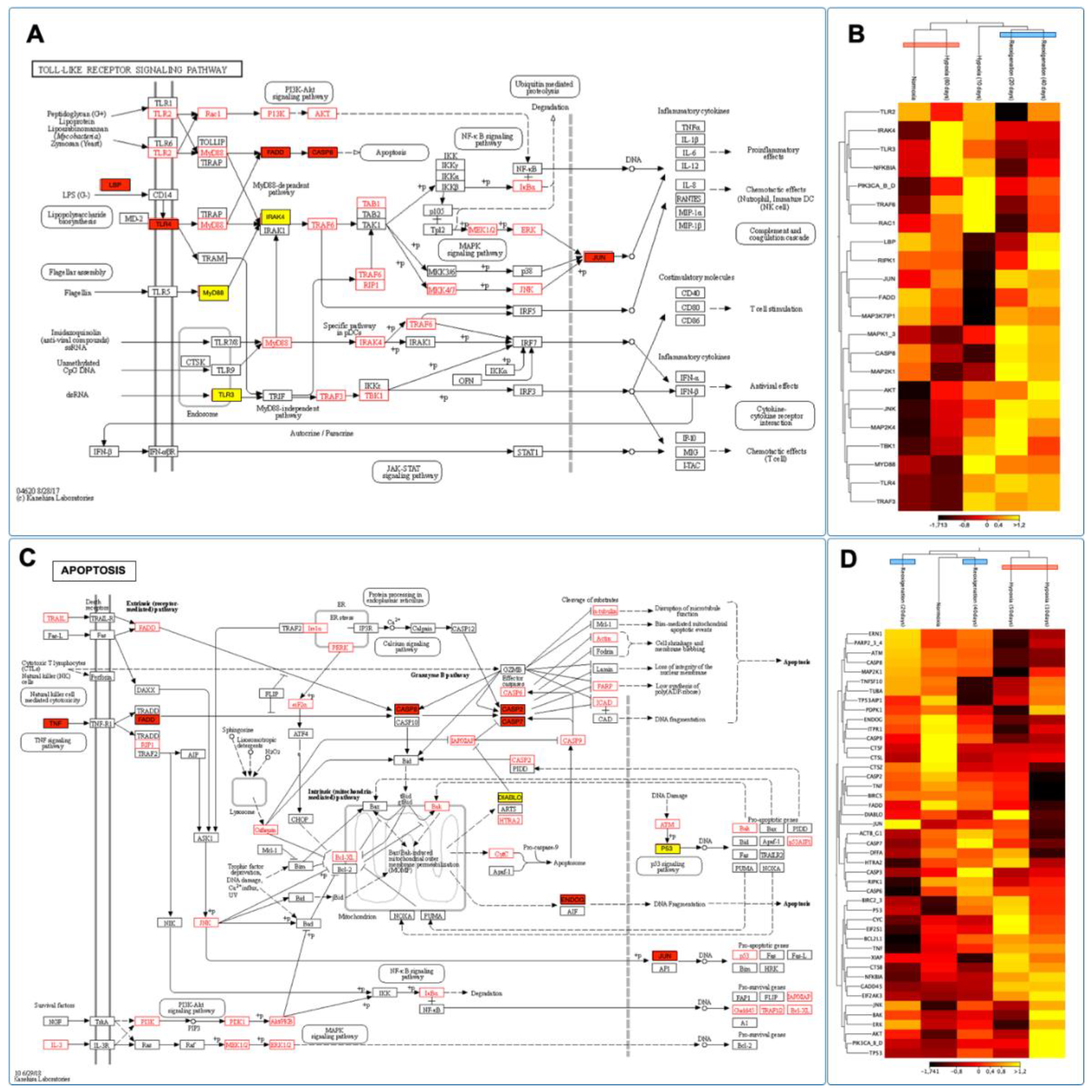 Preprints 102637 g010